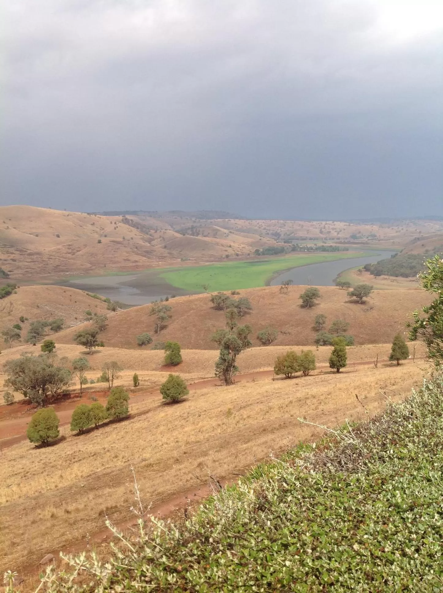 Natural Landscape in Amazing Views Pet Friendly Bed and Breakfast