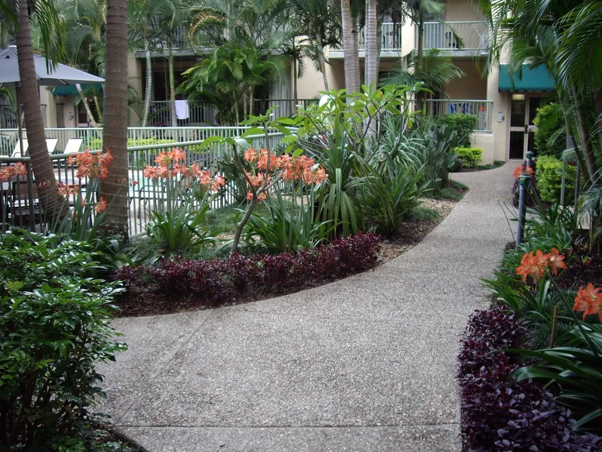Garden in Bila Vista Kirra Beachside Apartments