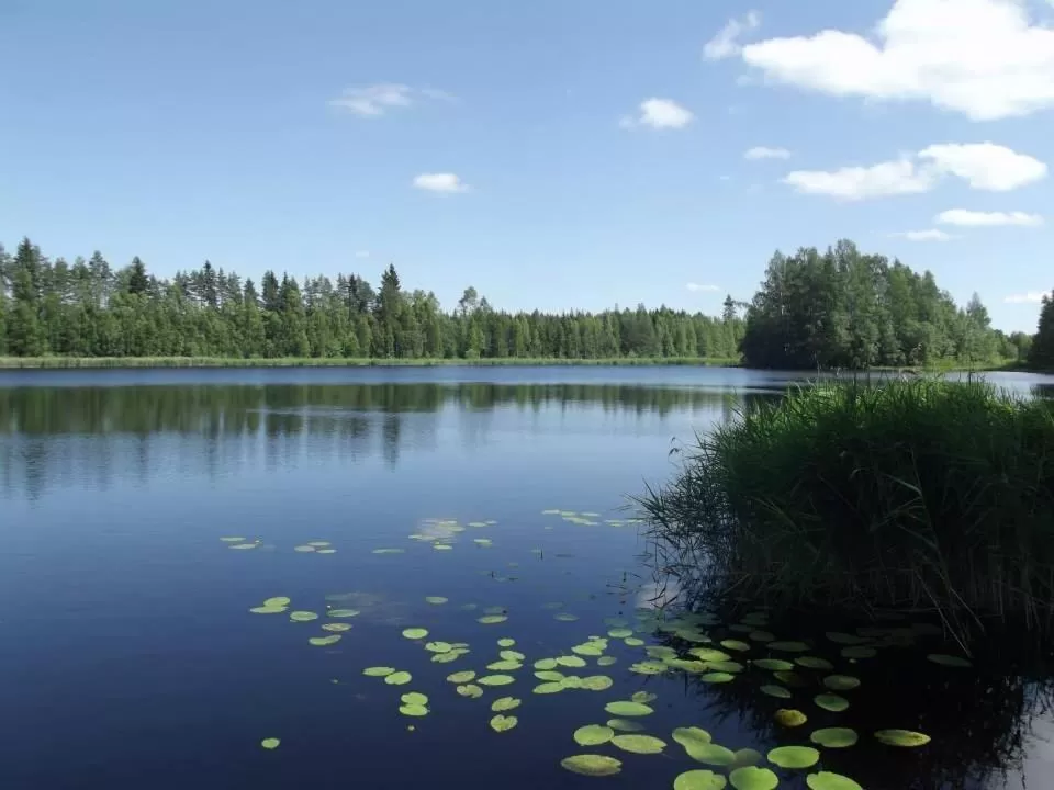Lamminmäen Juhla ja Peti