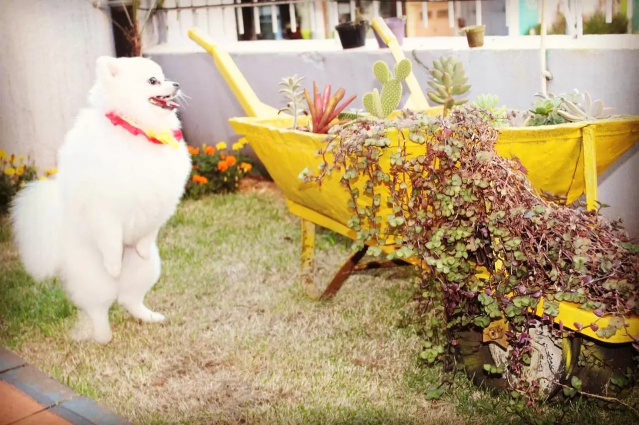 Hostel e Pousada Tiradentes 774