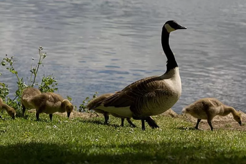 Area and facilities in Warren Lodge