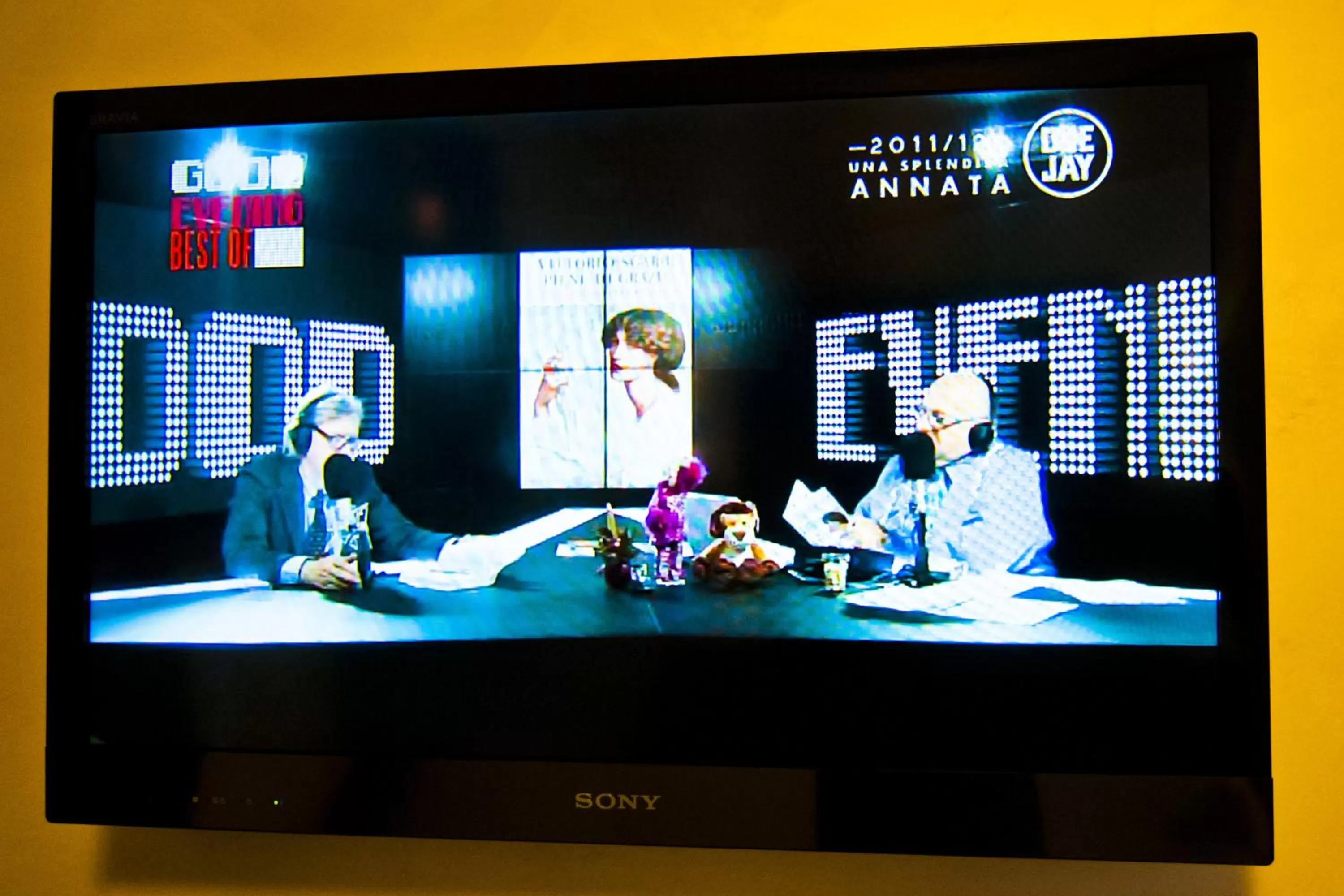 TV and multimedia in Domus Fontis