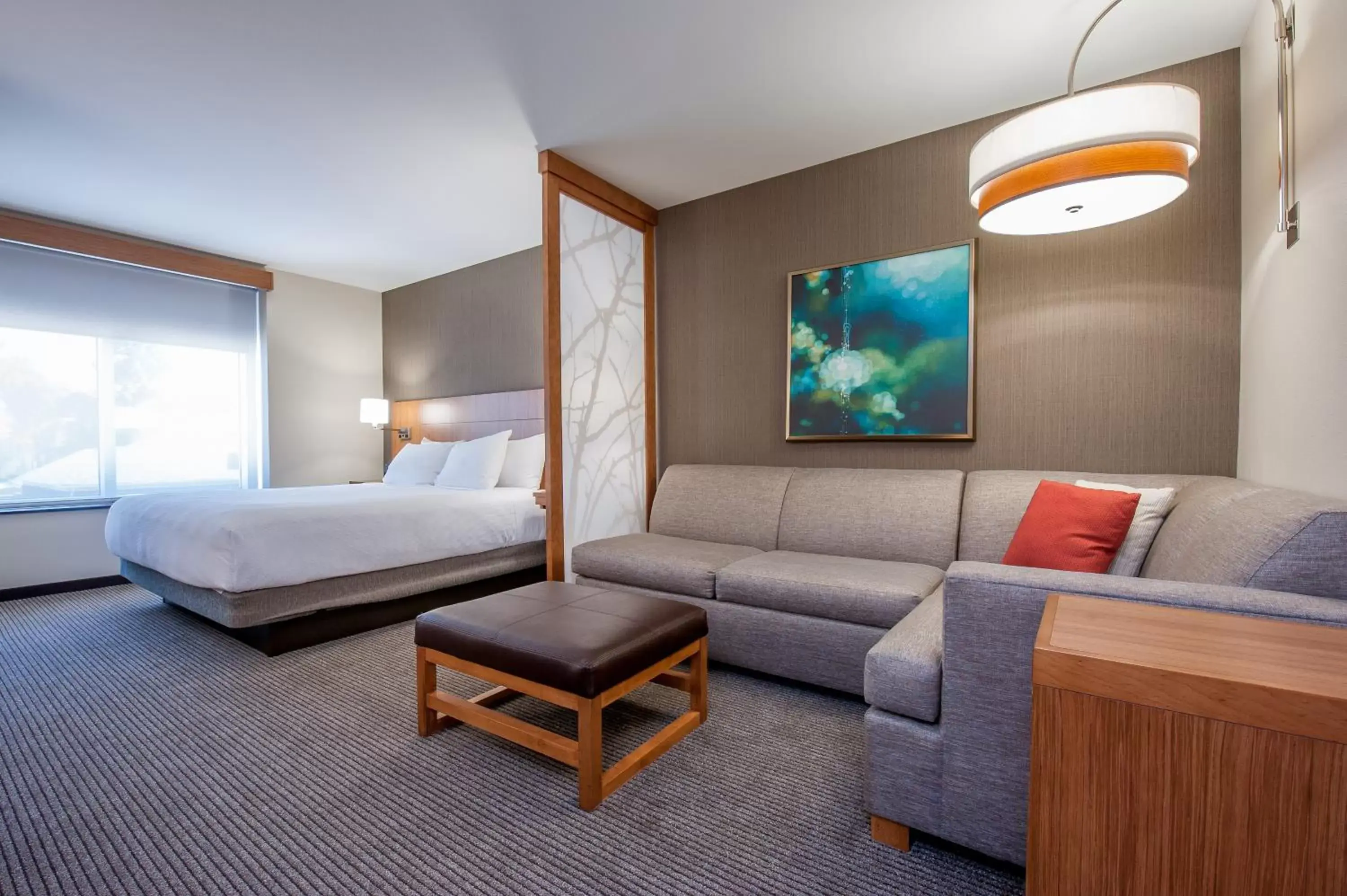 One-Bedroom Suite with Sofa Bed in Hyatt Place Bowling Green One-Bedroom Suite with Sofa Bed in Hyatt Place Bowling Green