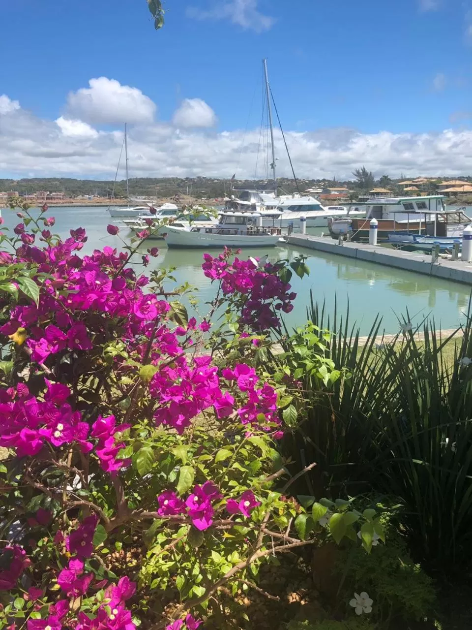 Garden in Hotel Aretê
