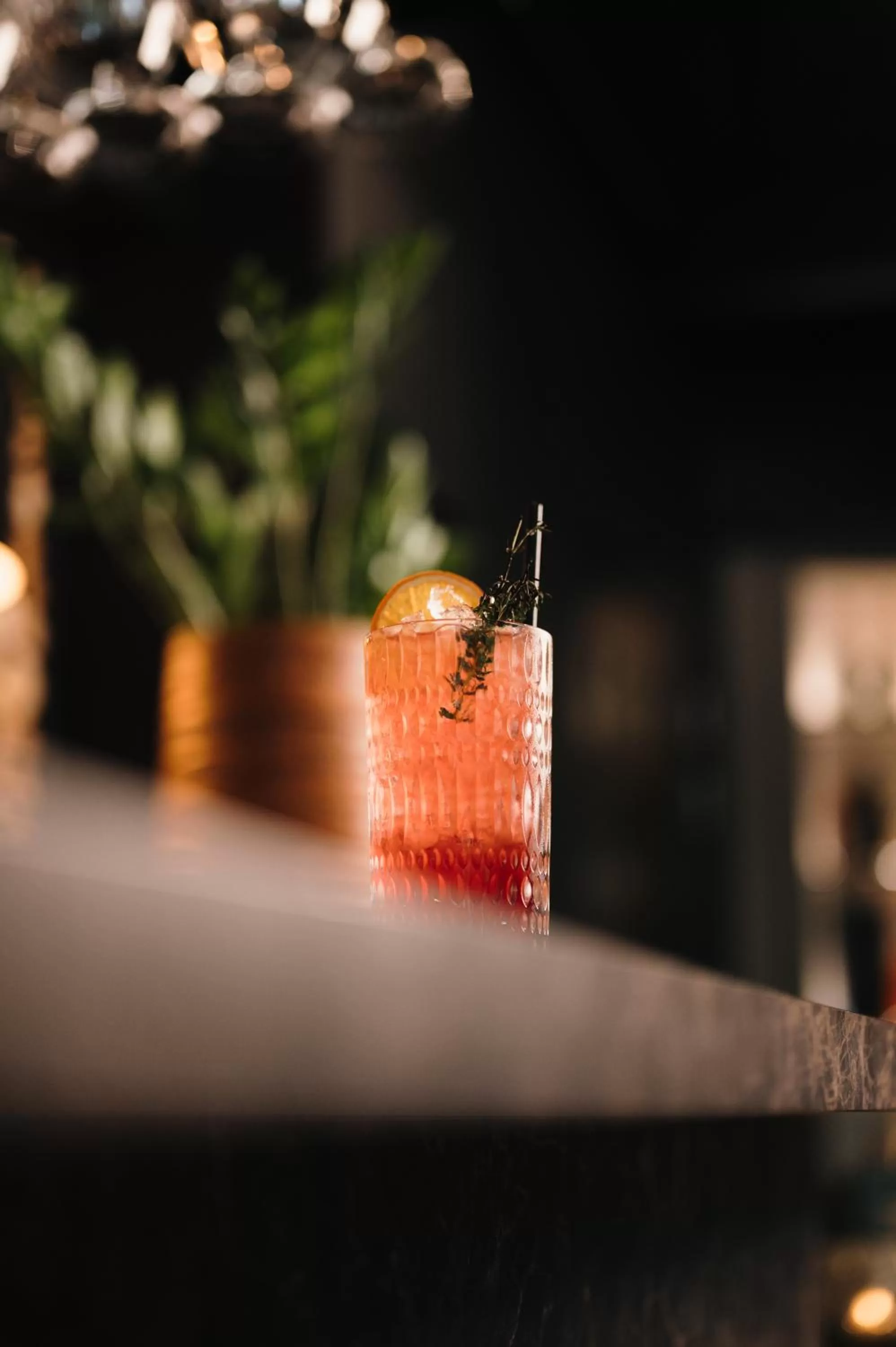 Food and drinks in Boutiquehotel 't Fraeyhuis - adults only