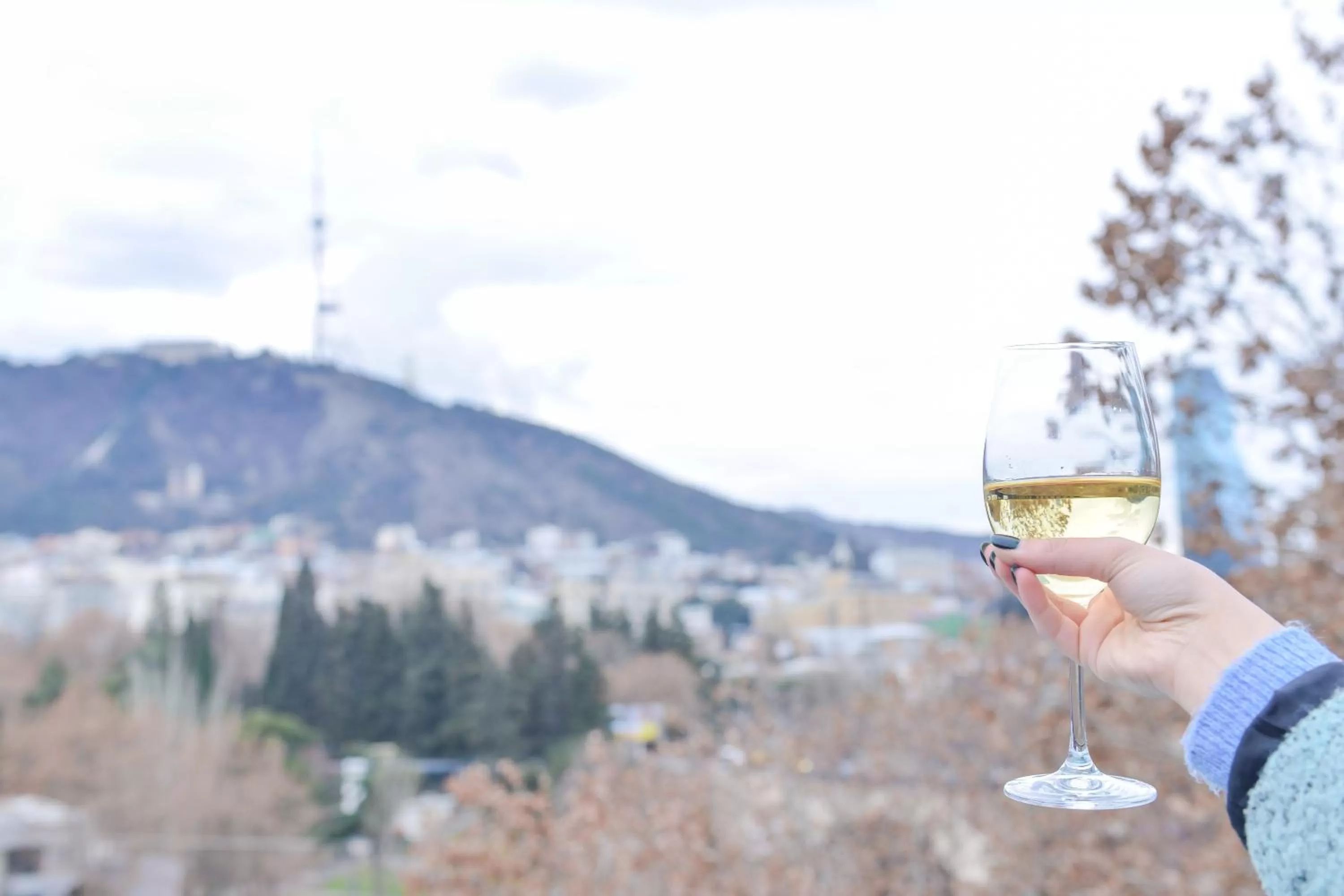 Balcony/Terrace in River View Hotel Tbilisi