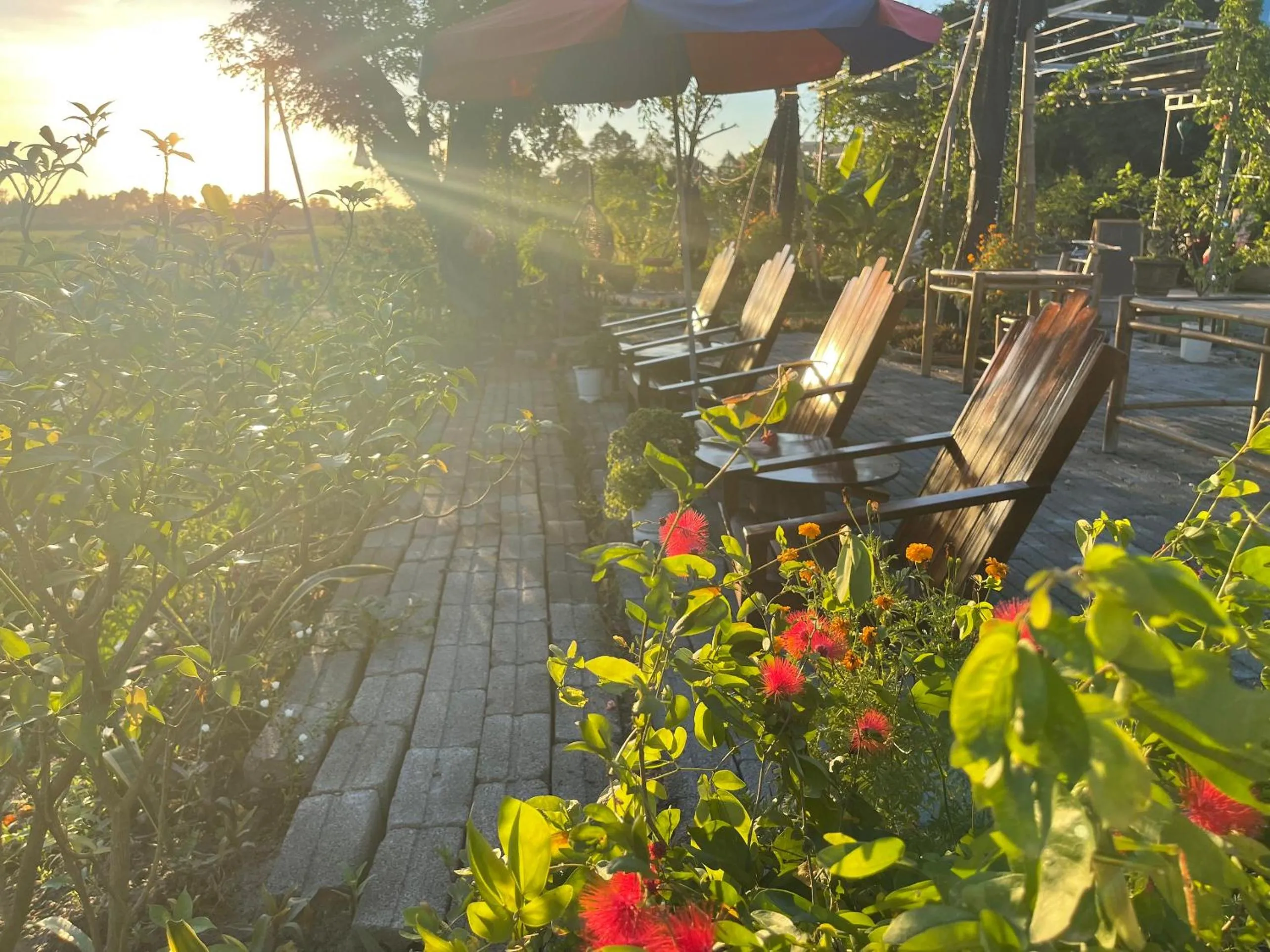 Tam Coc Mountain View Homestay