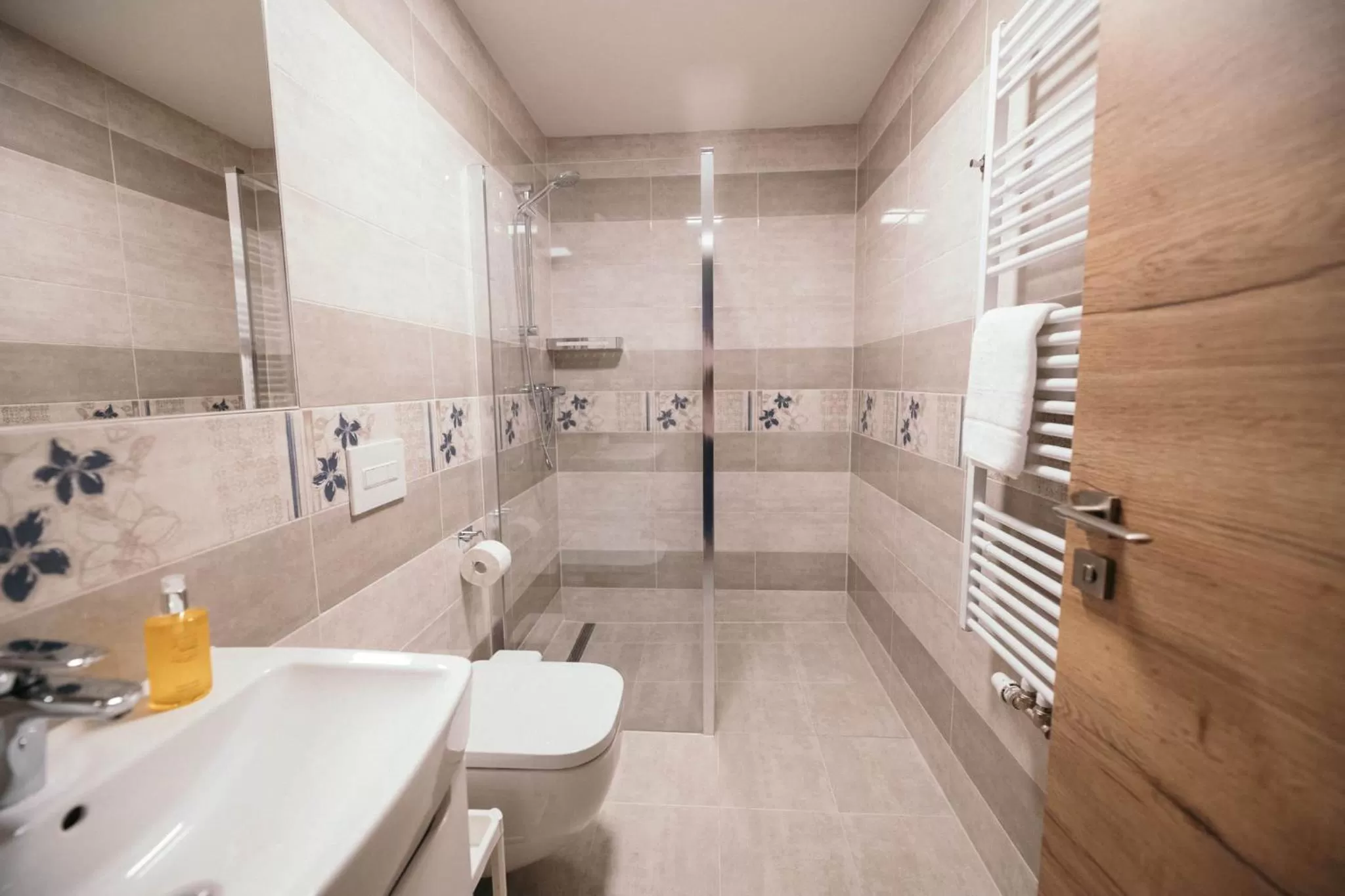 Toilet in Vila Jáchymov