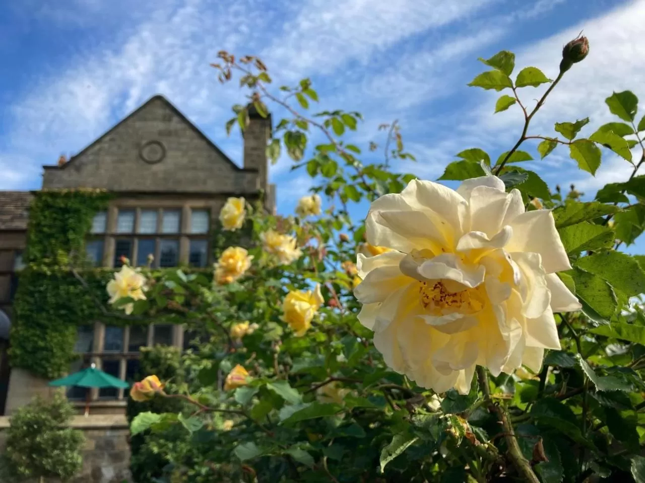 Spring, Property Building in Fischers Baslow Hall - Chatsworth