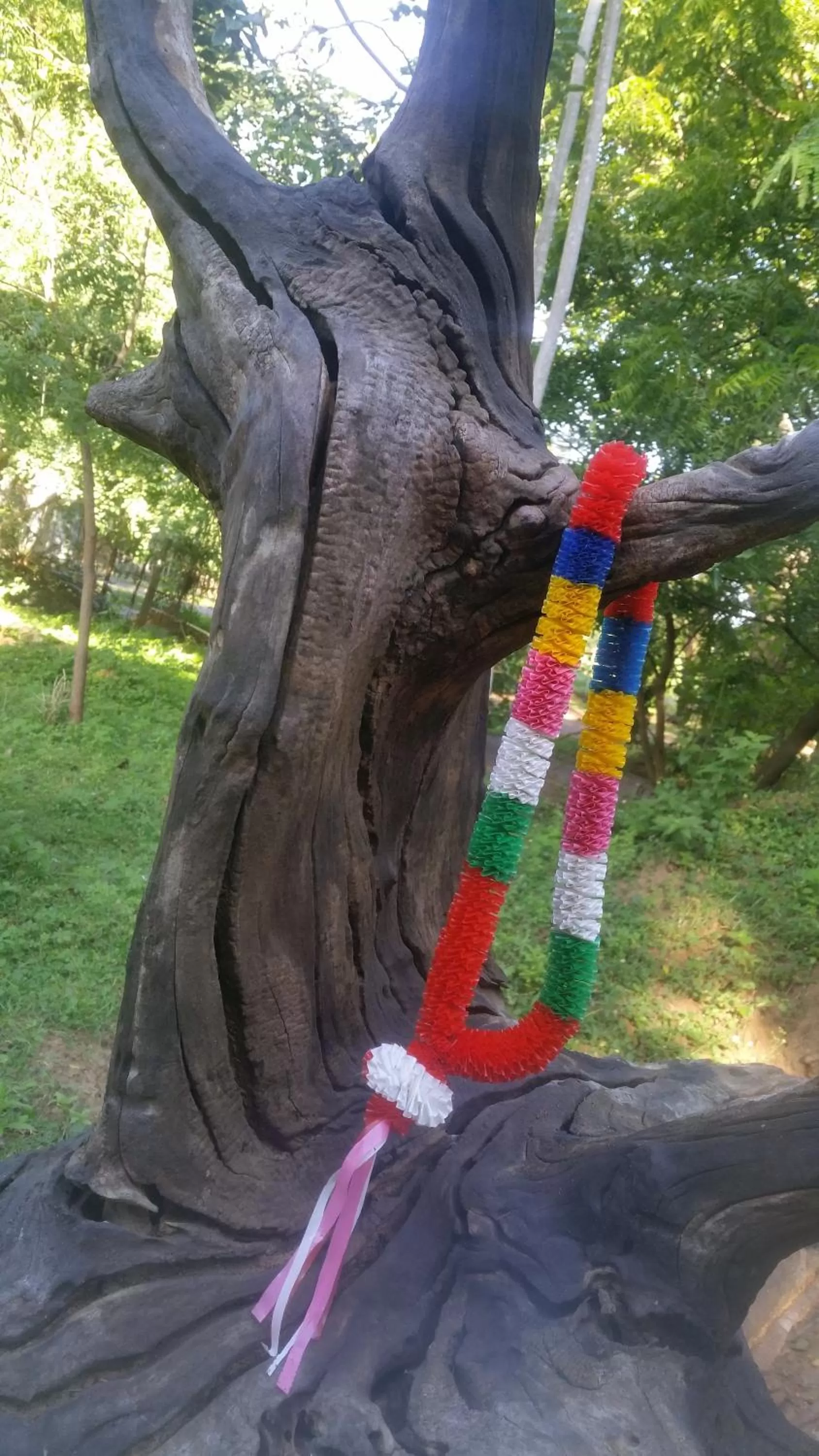 Other Animals in Jungle river humbhaha hostel