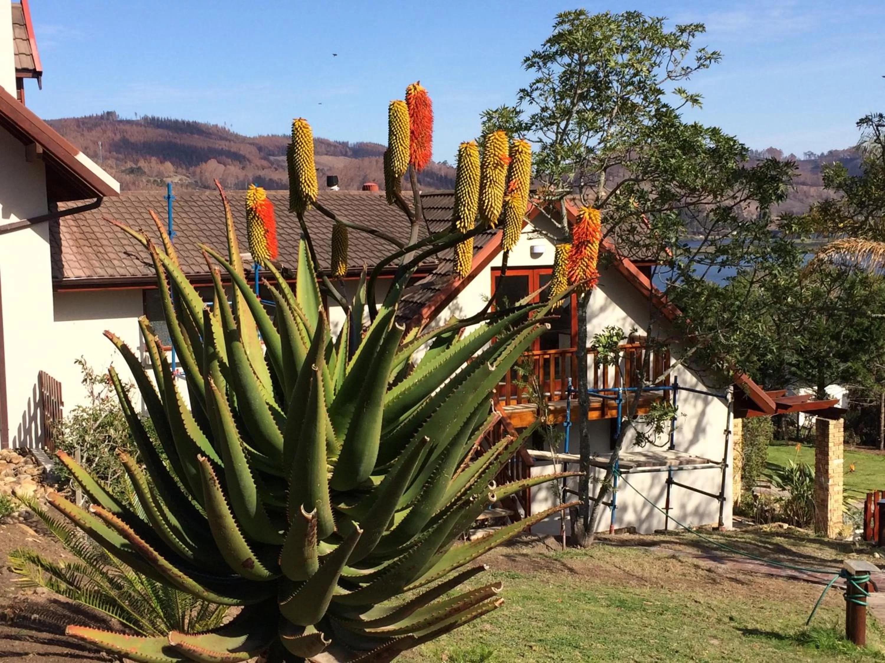 Property Building in Fish Eagle Lodge
