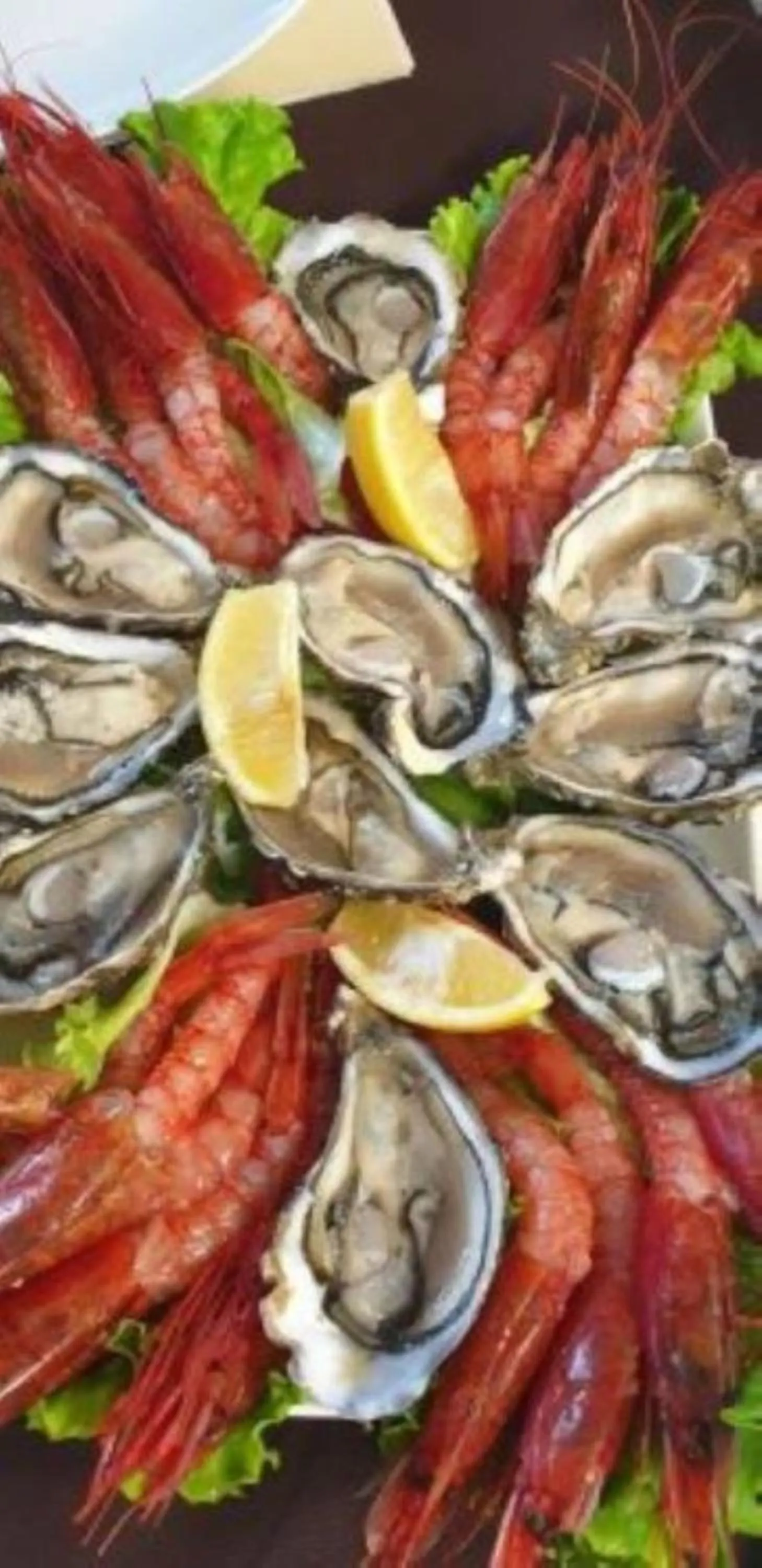 Food and drinks in Hotel Sant'Ilario