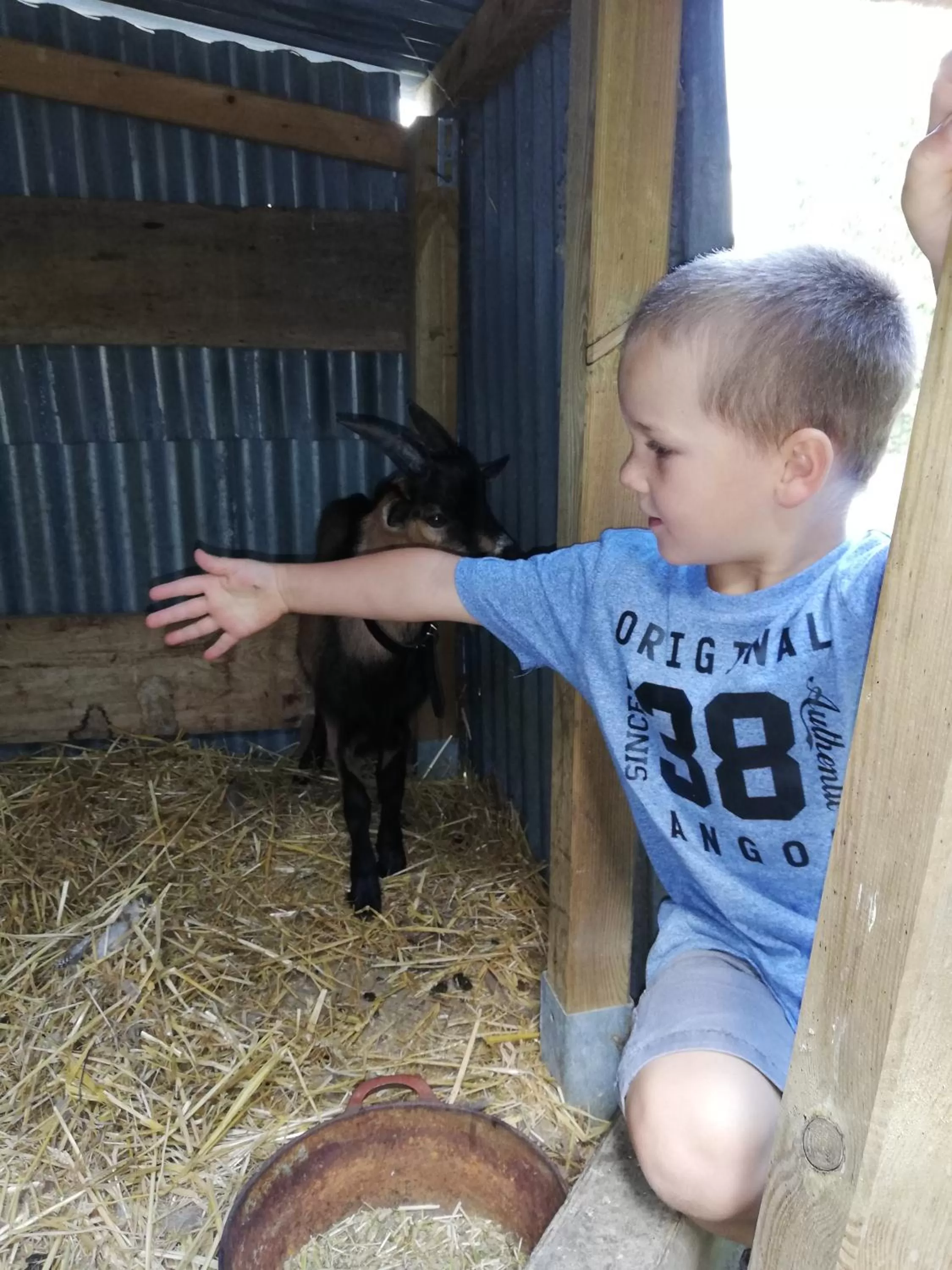 Pets in La Parisiere