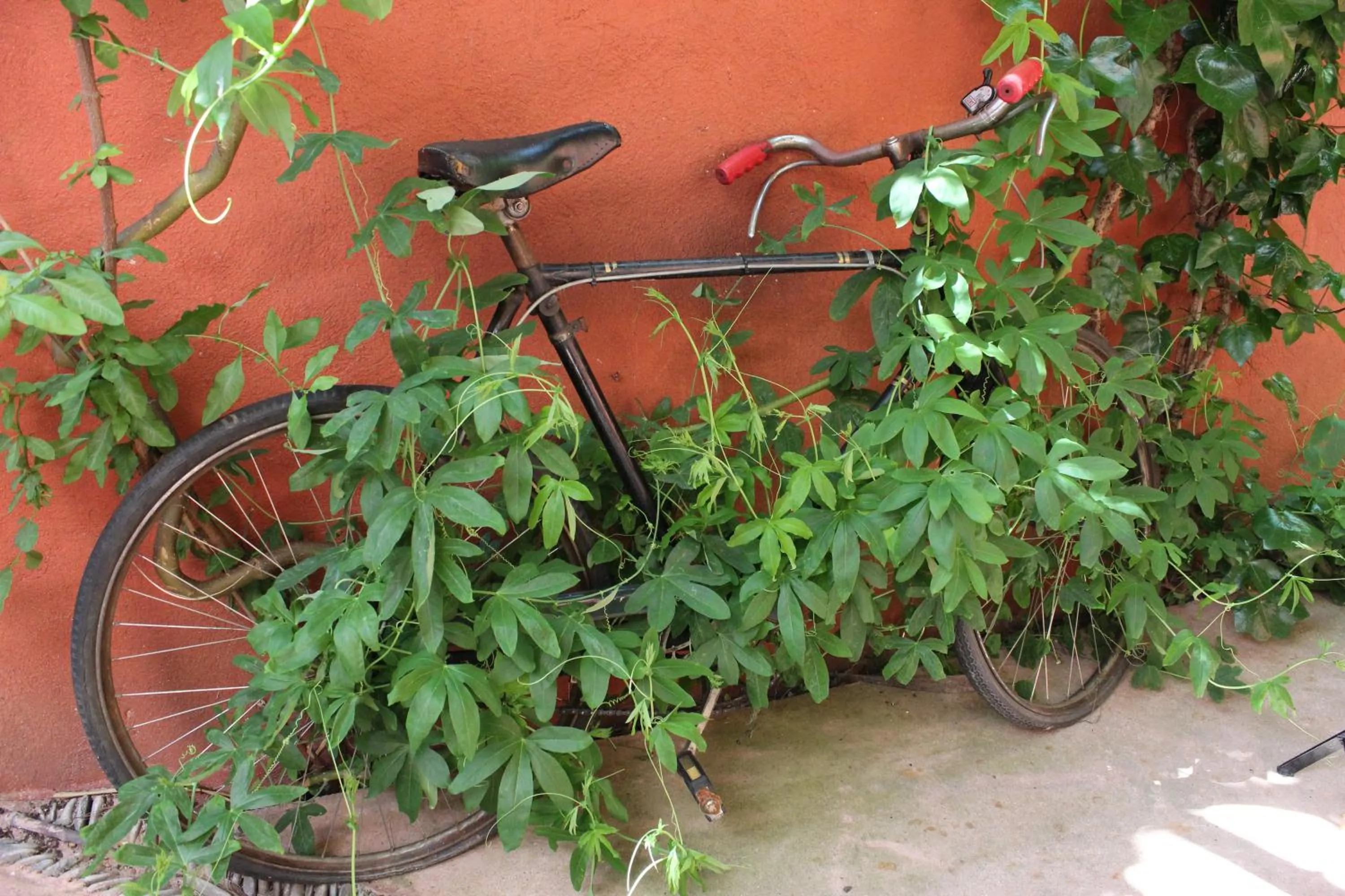 Other in Hotel la Boheme