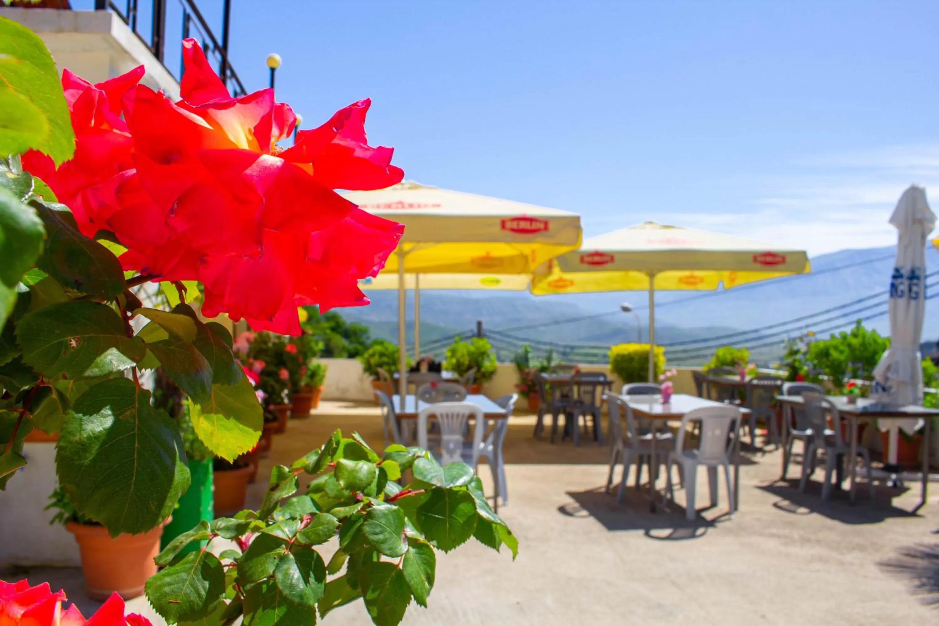 Hotel Bebej Tradicional