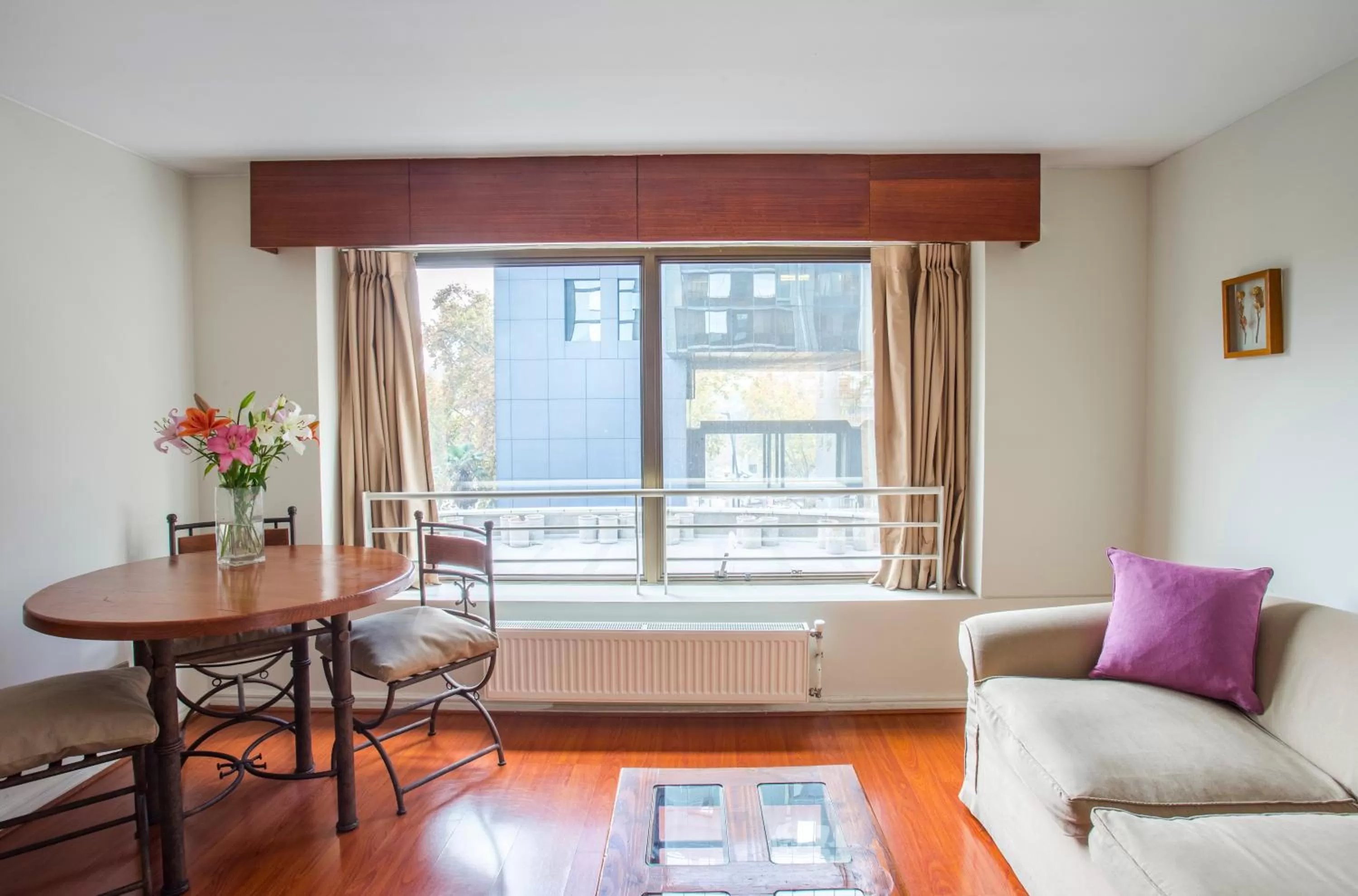 Other in MR Apart Providencia (ex Apart Neruda)