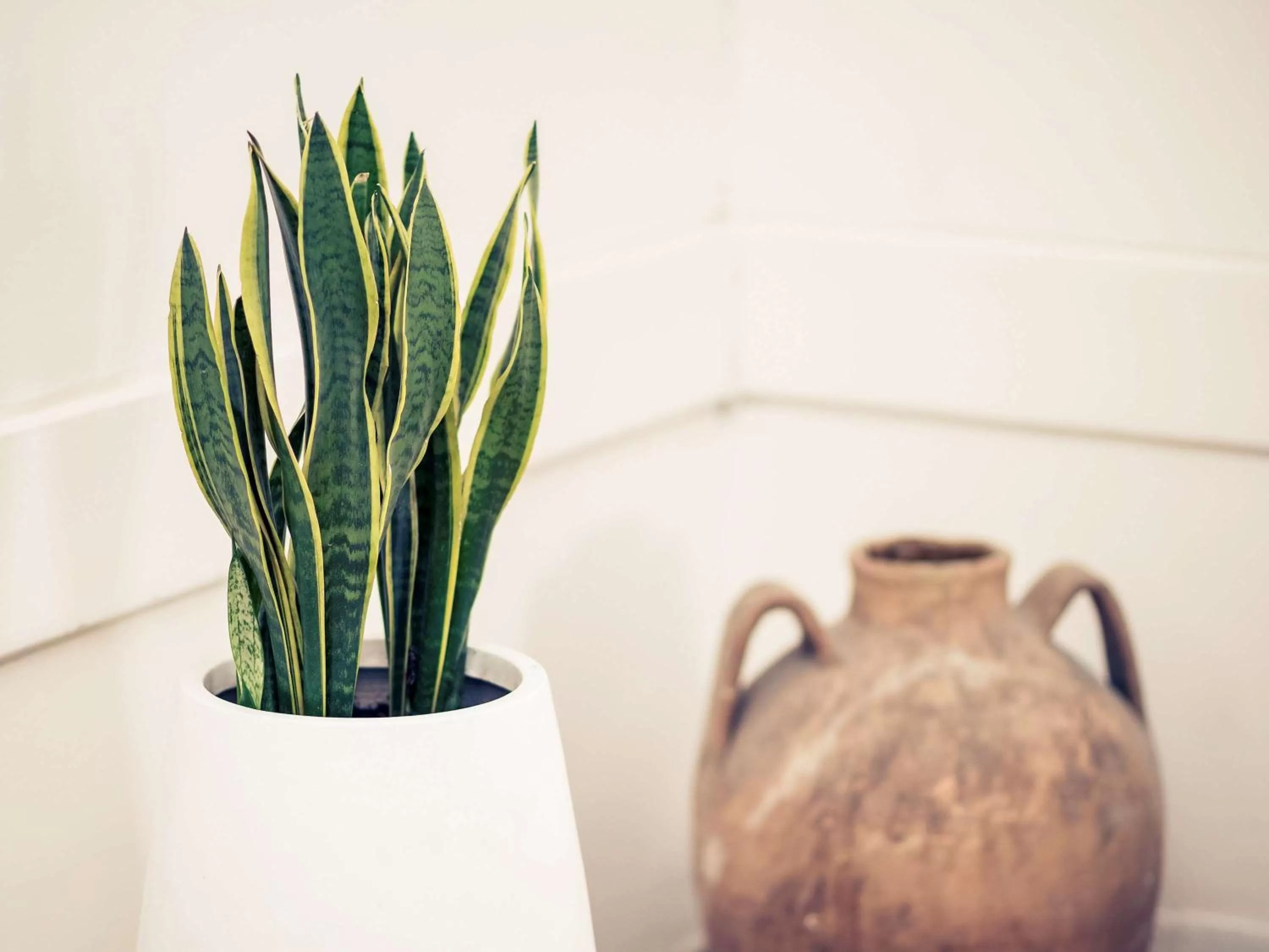 Lounge or bar in Sunbay Park Hotel