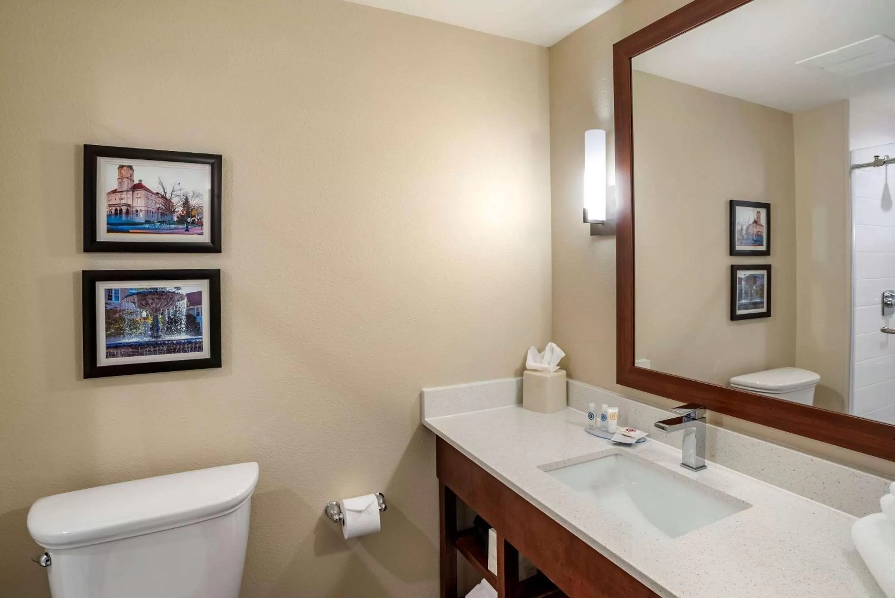 Bathroom in Comfort Inn & Suites Harrisonburg