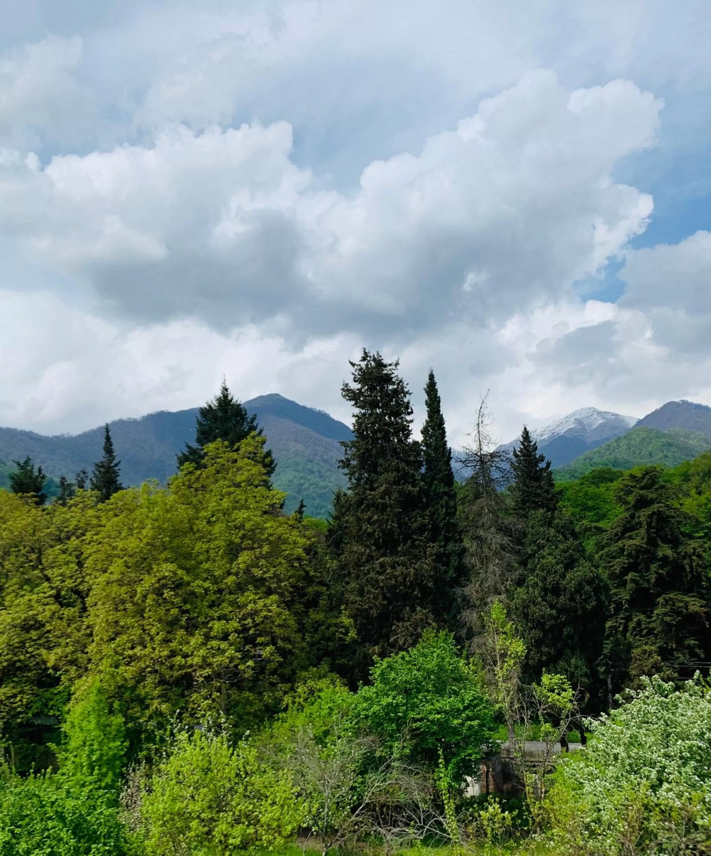 Natural landscape, Mountain View in Royal Palace Hotel, Lagodekhi