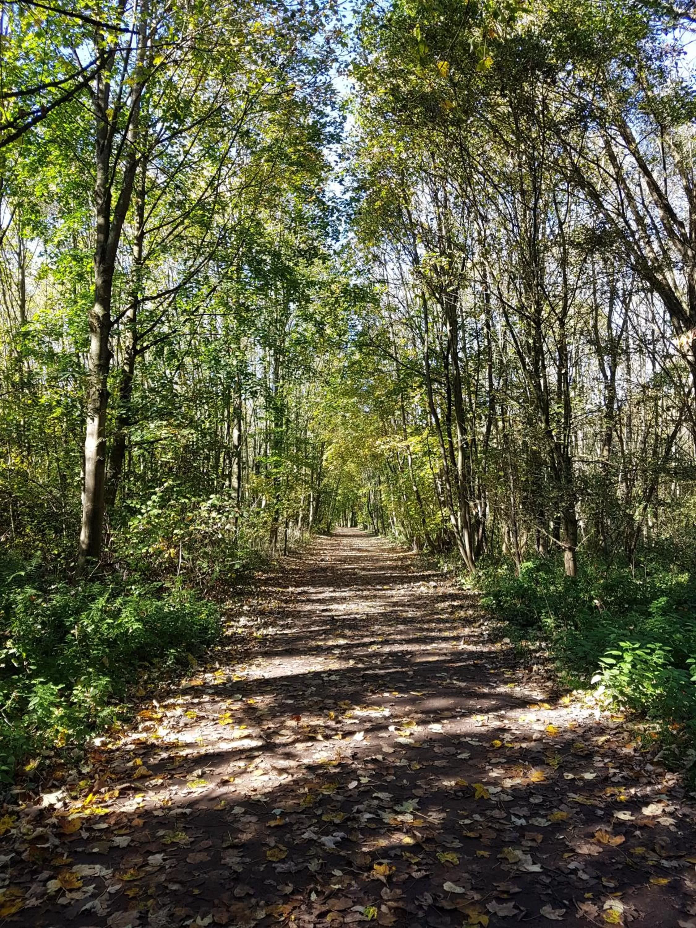 Hiking in Kurhotel Anders