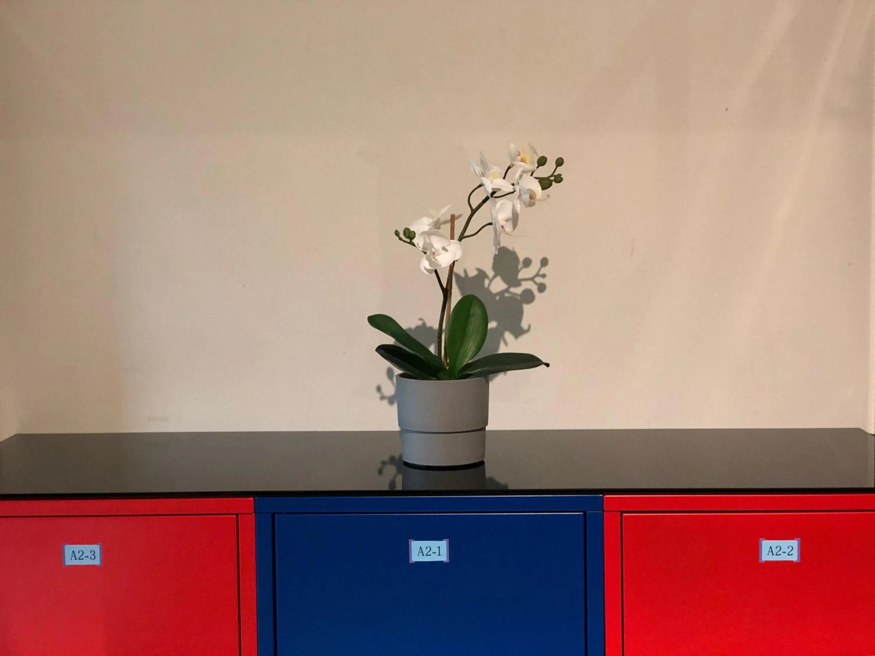 Decorative detail in 旅悅 國際青年旅館 DreamWell Hostel