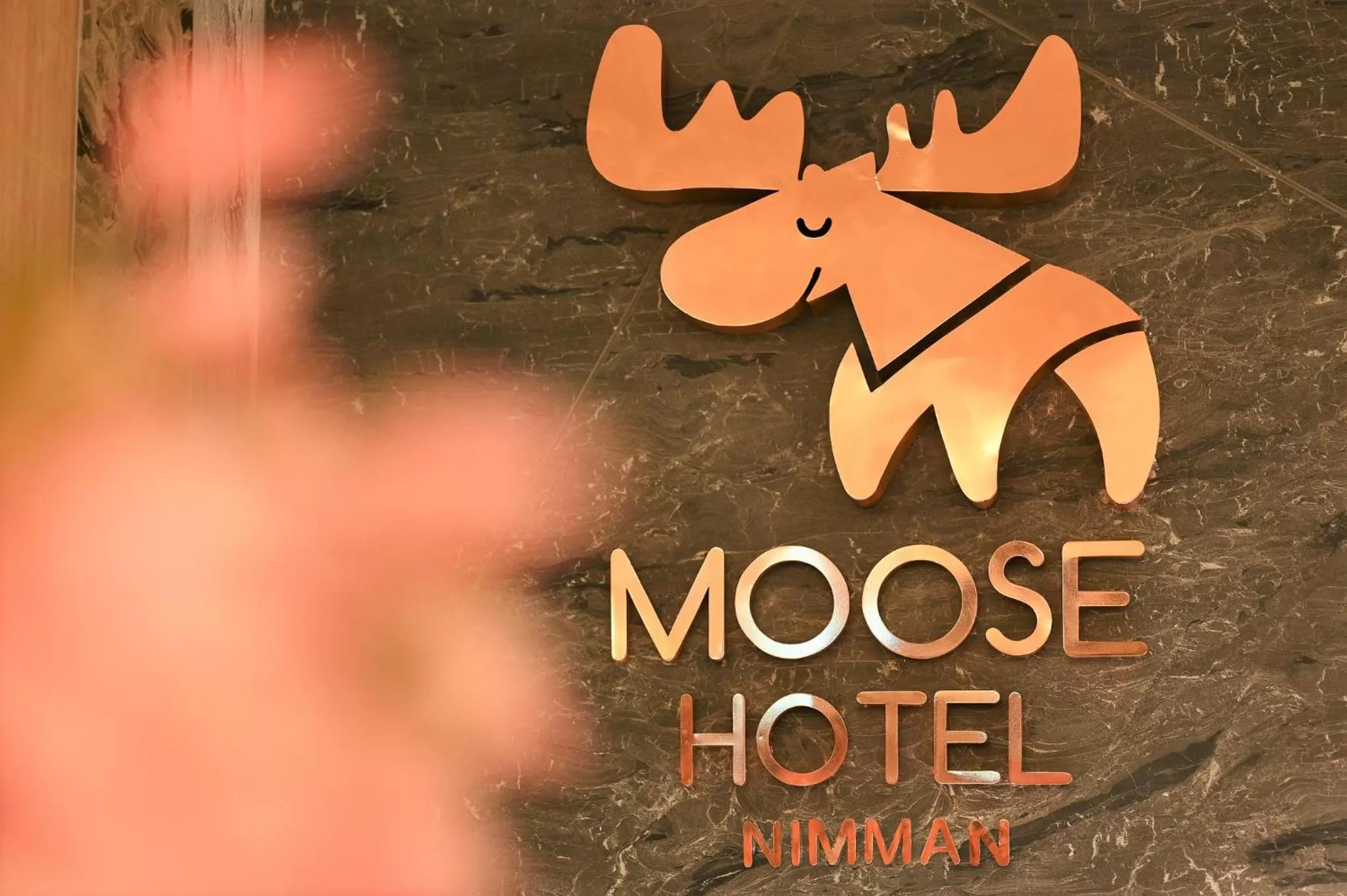 Moose Hotel Nimman