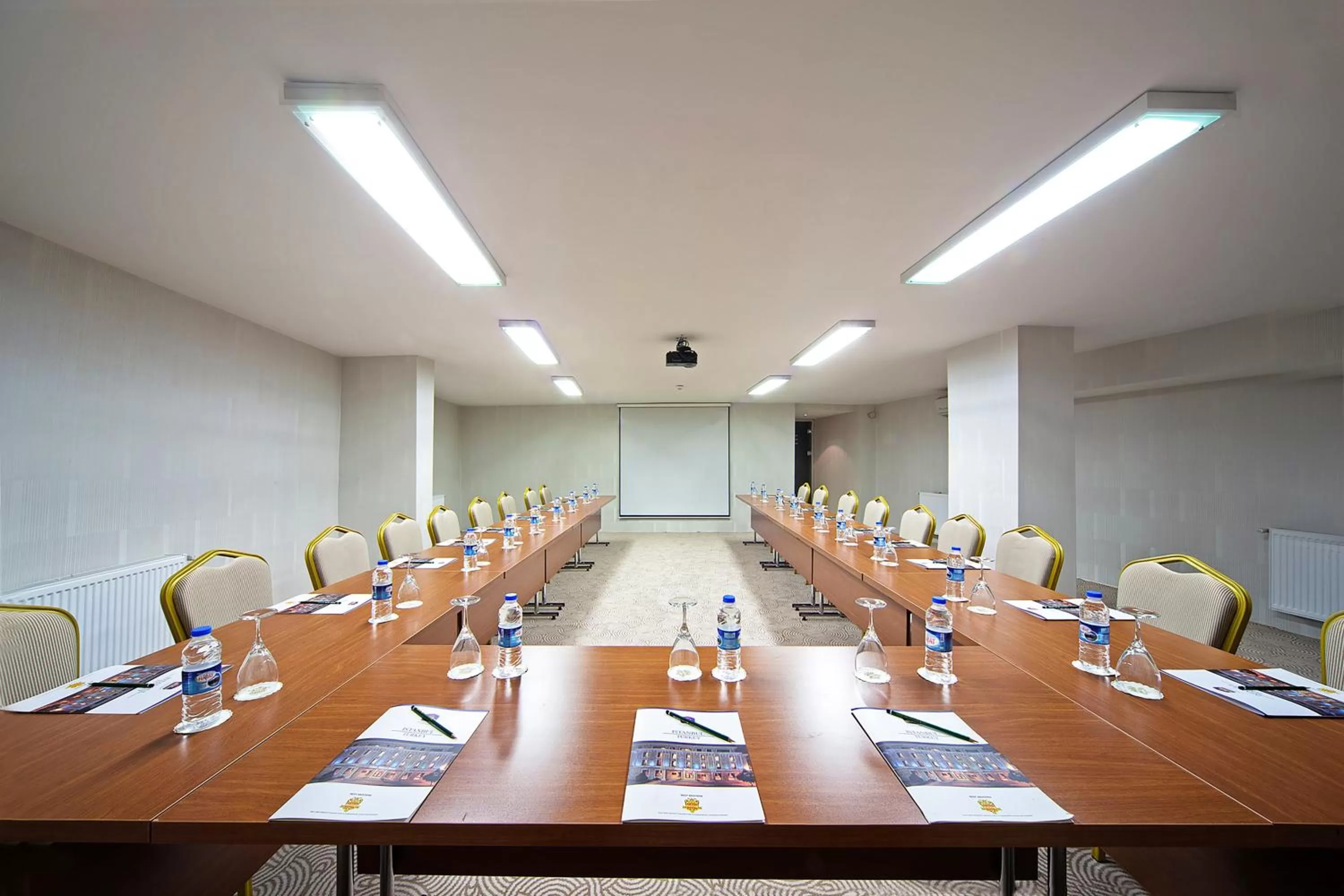 Business facilities in Antea Palace Hotel & Spa