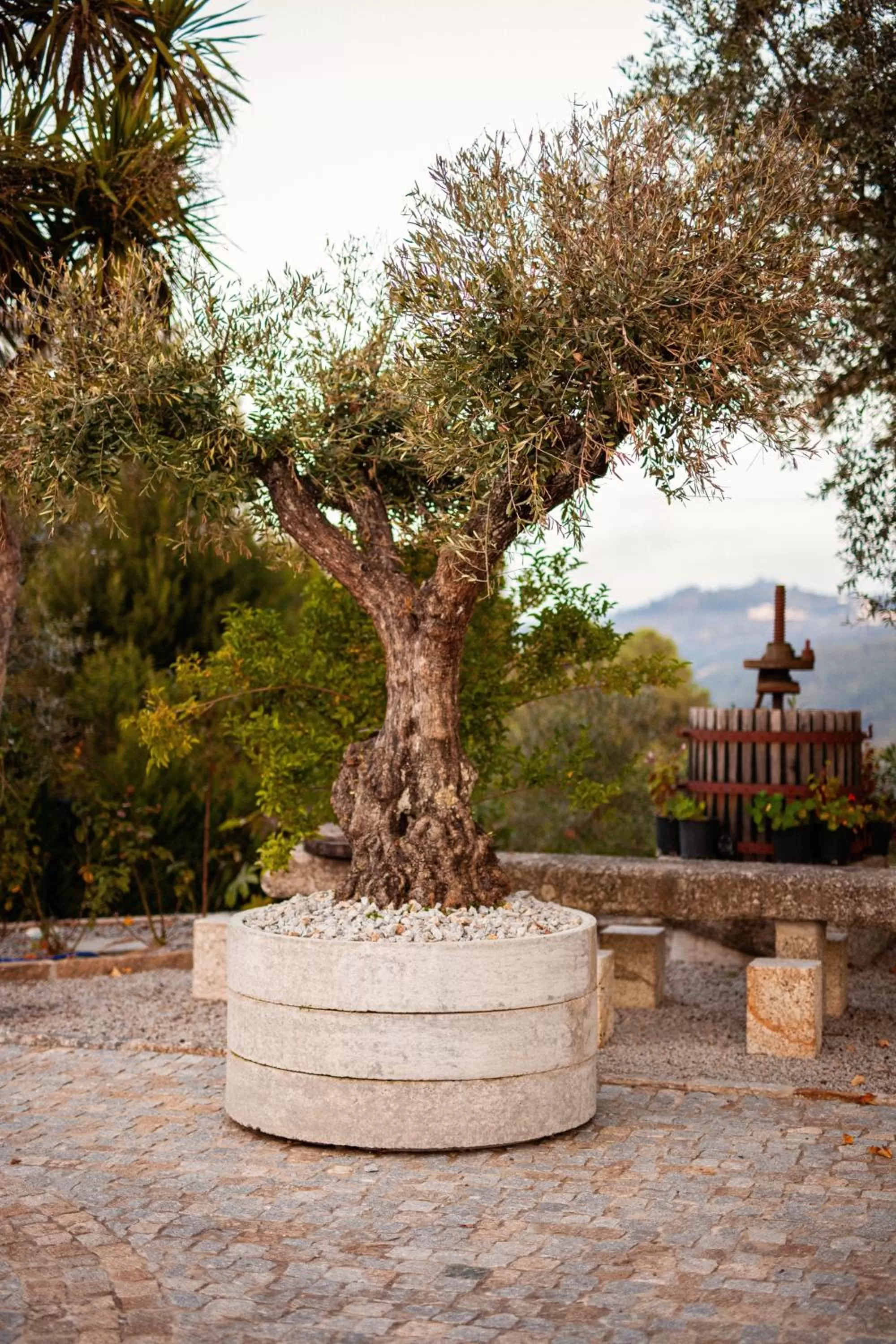 Property building in Fonte Velha