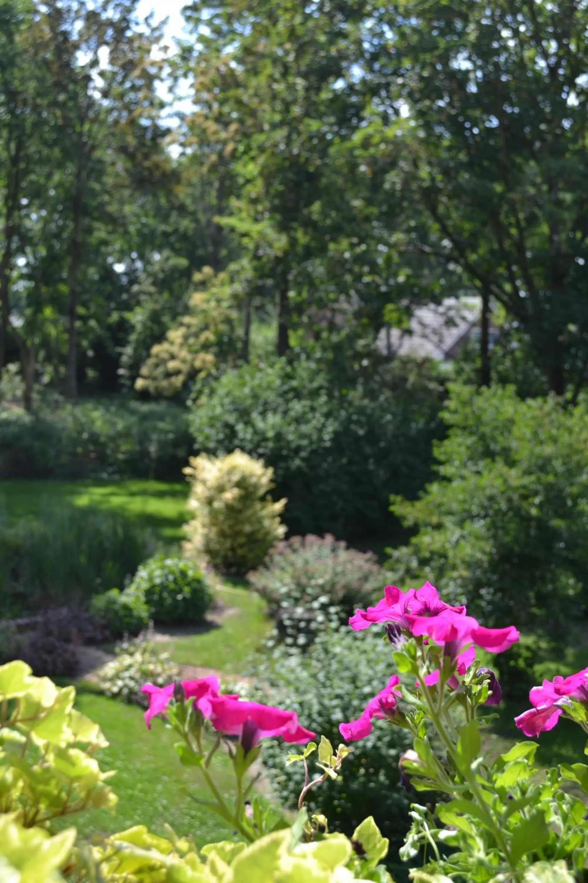 Garden in Bed & Breakfast aan de Beek
