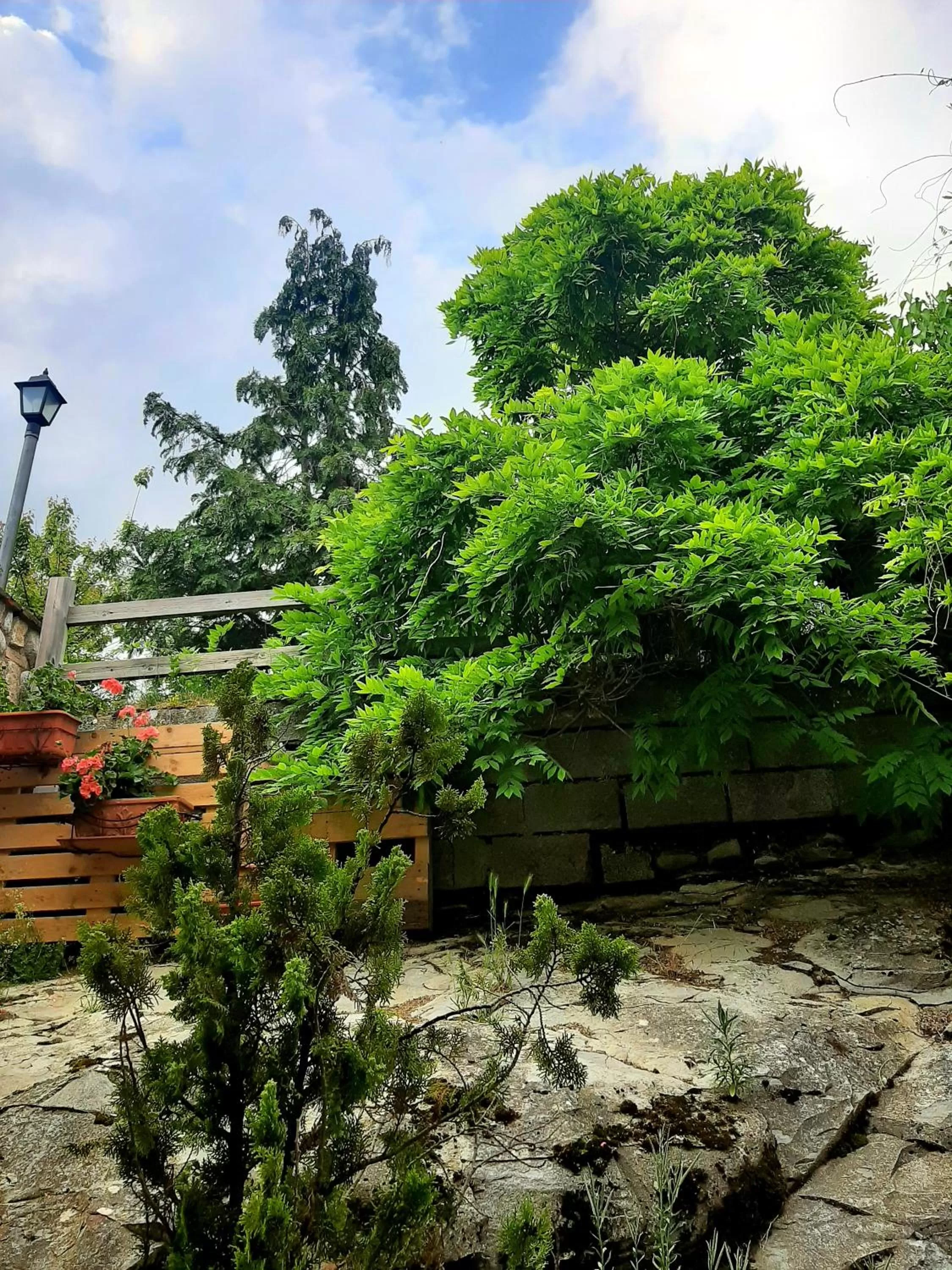 Garden view, Garden in B&B degli Allori