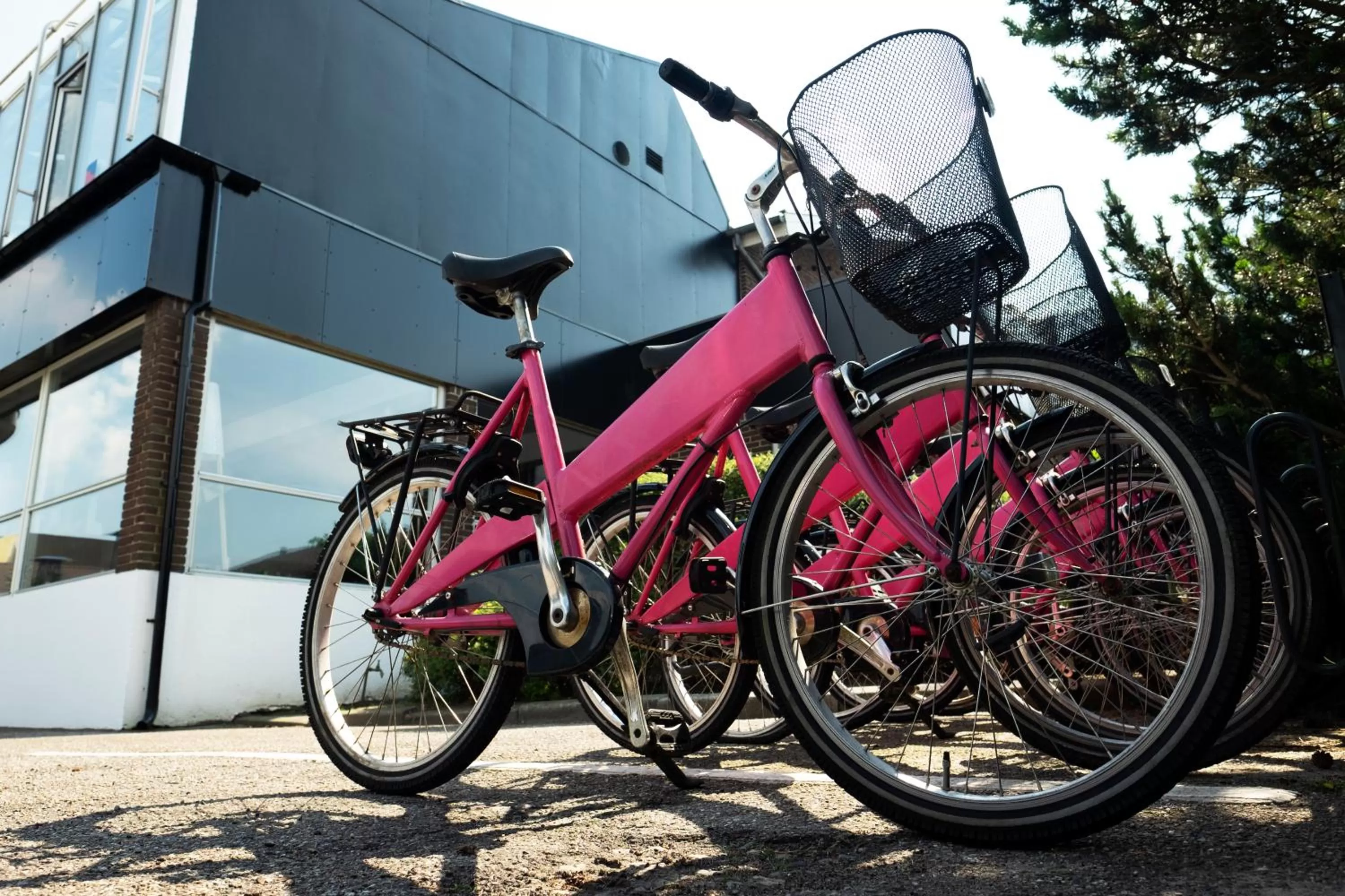 Cycling in Hotel Pejsegaarden
