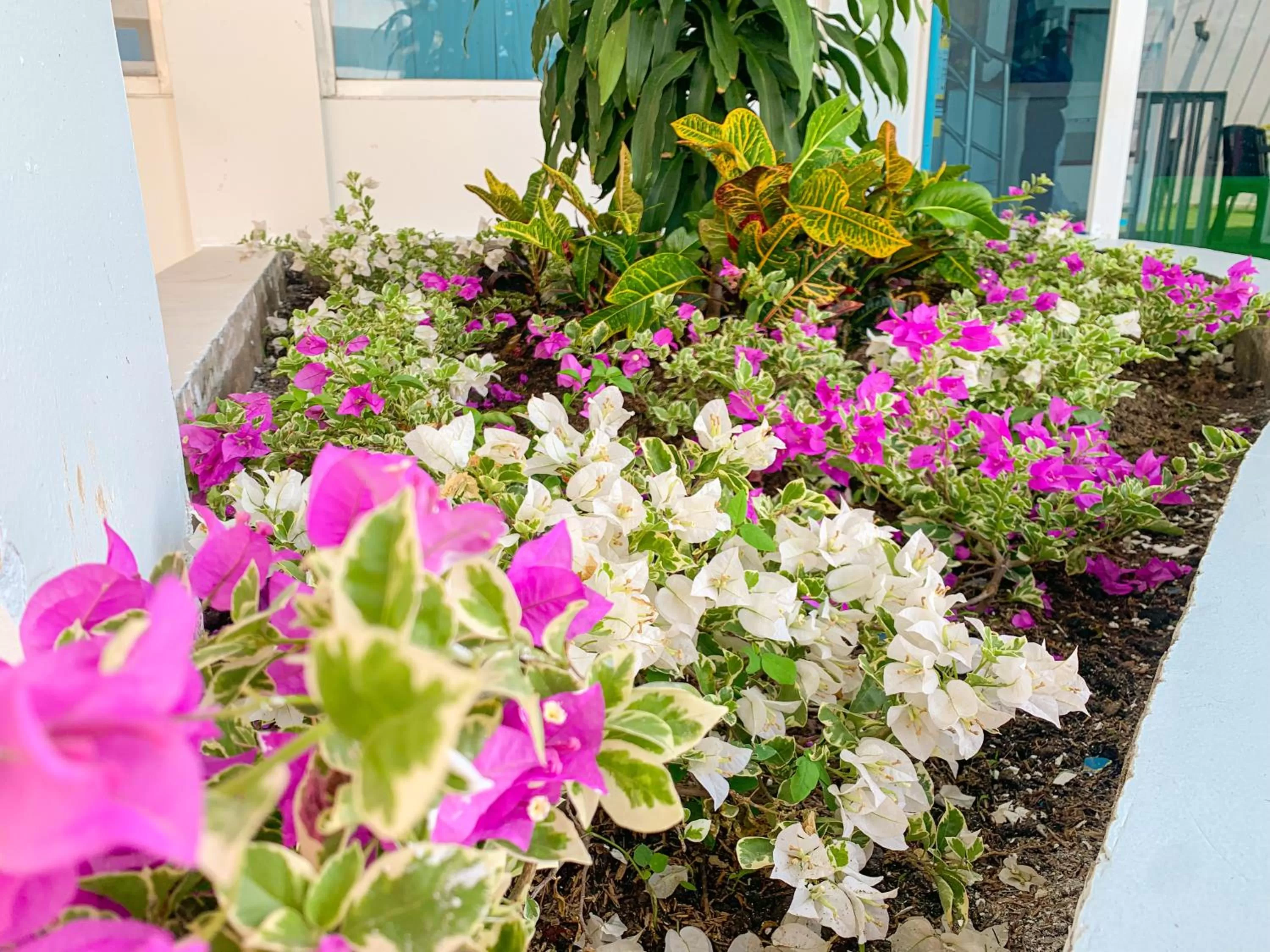 Garden view in Hotel Abi Inn By GEH Suites