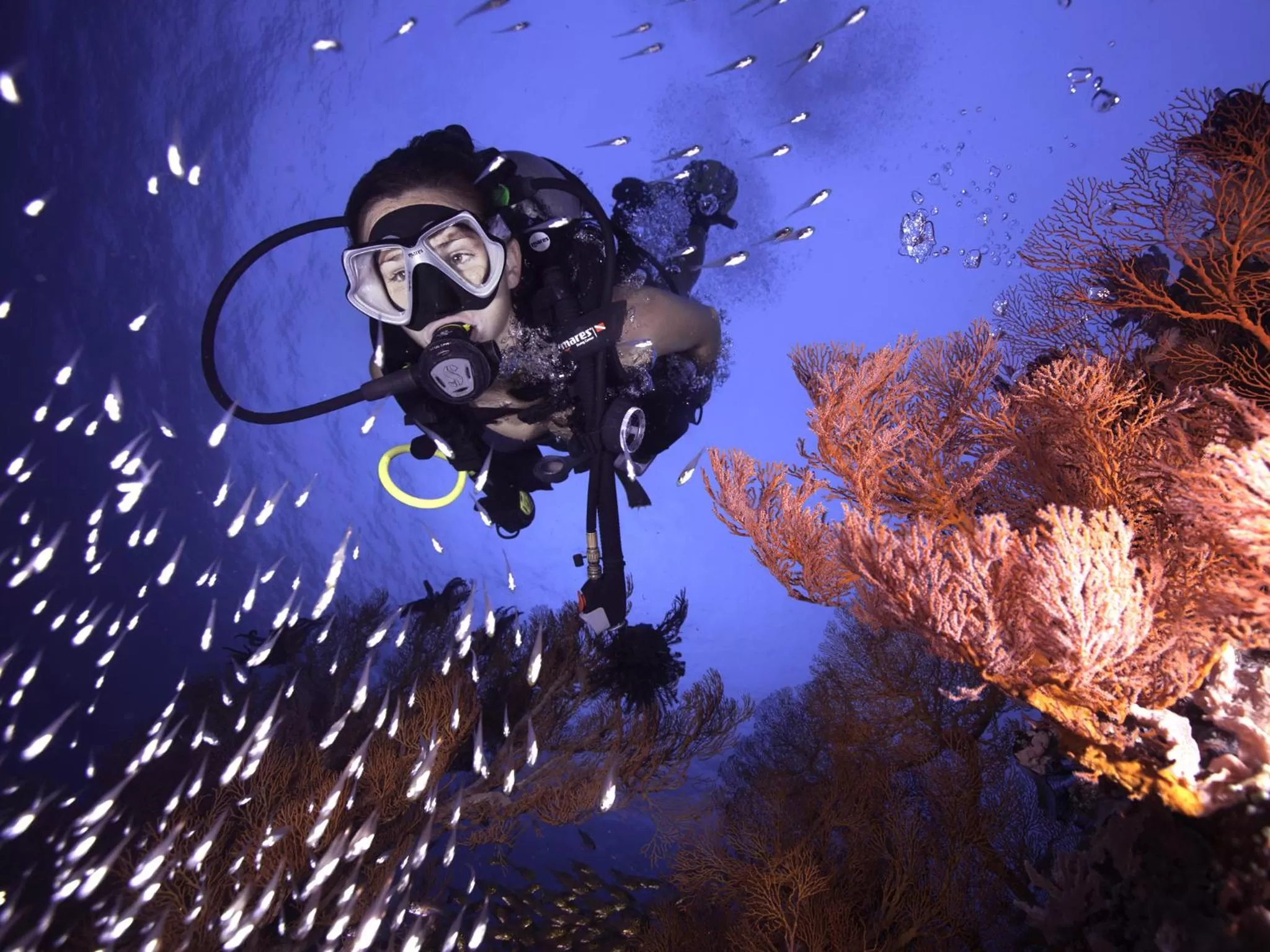 Diving, Snorkeling/Diving in Gili Divers Hotel