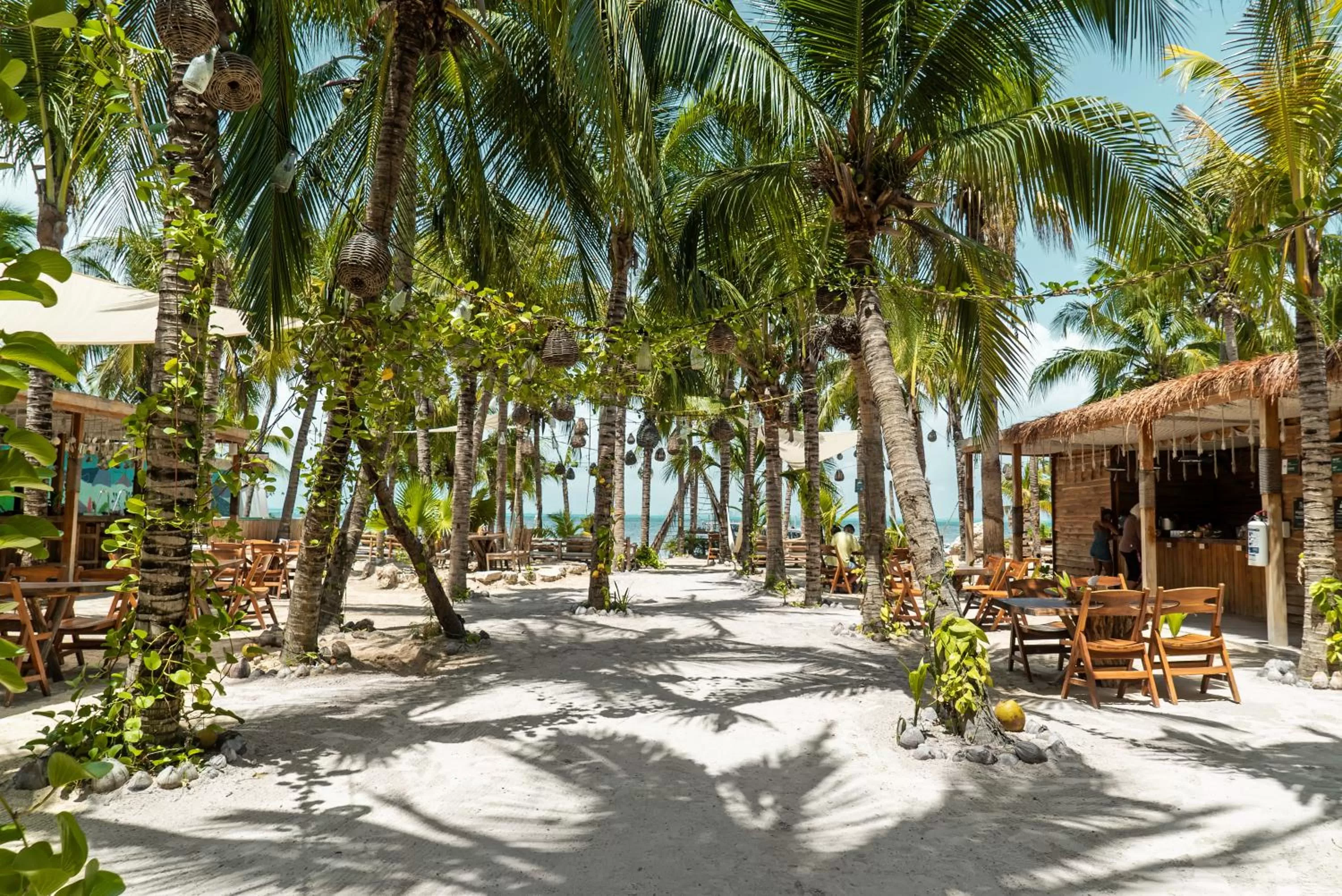 Restaurant/places to eat, Beach in Nomads Hotel, Hostel & Beachclub