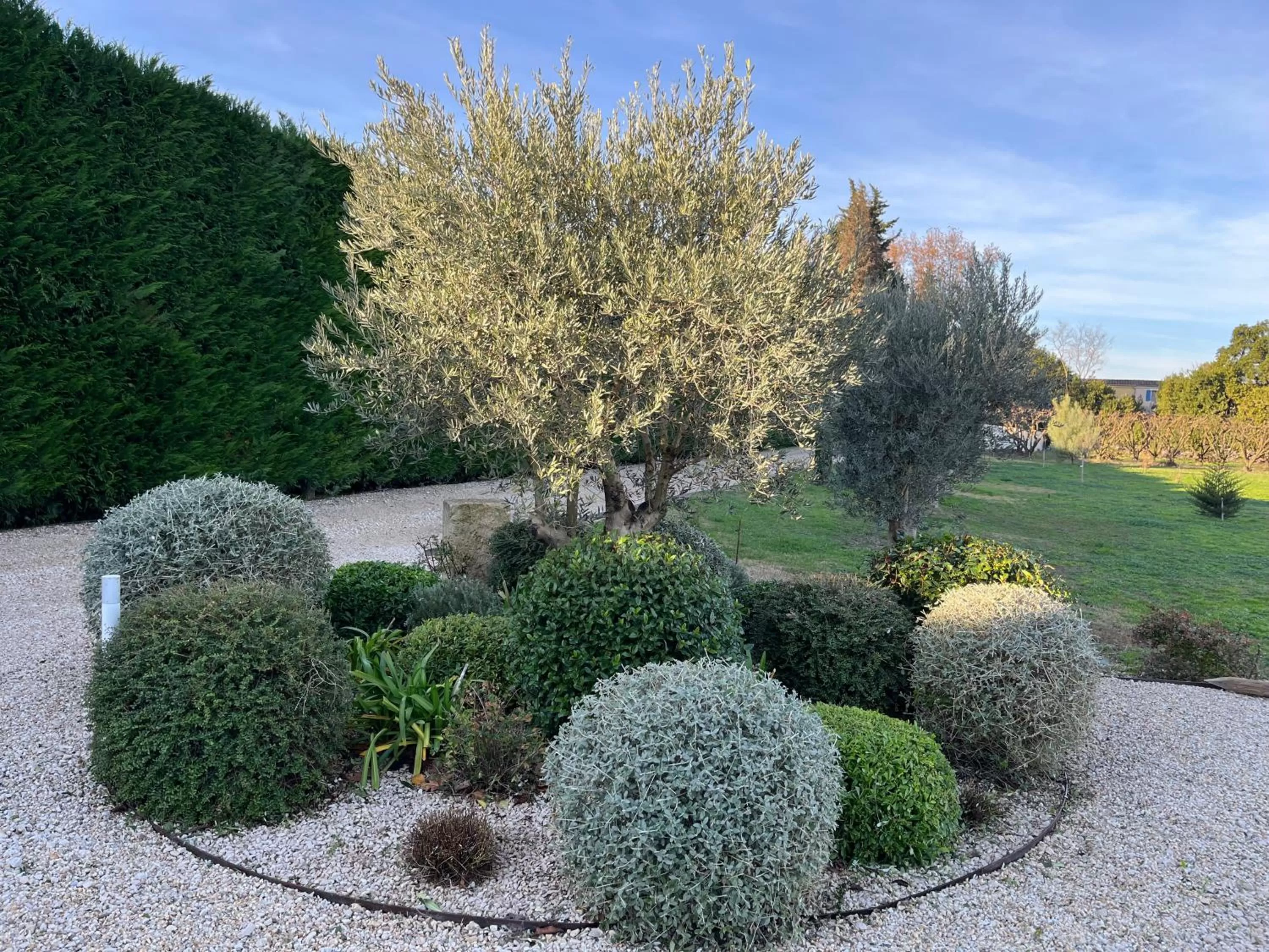 Spring in Mas Allard