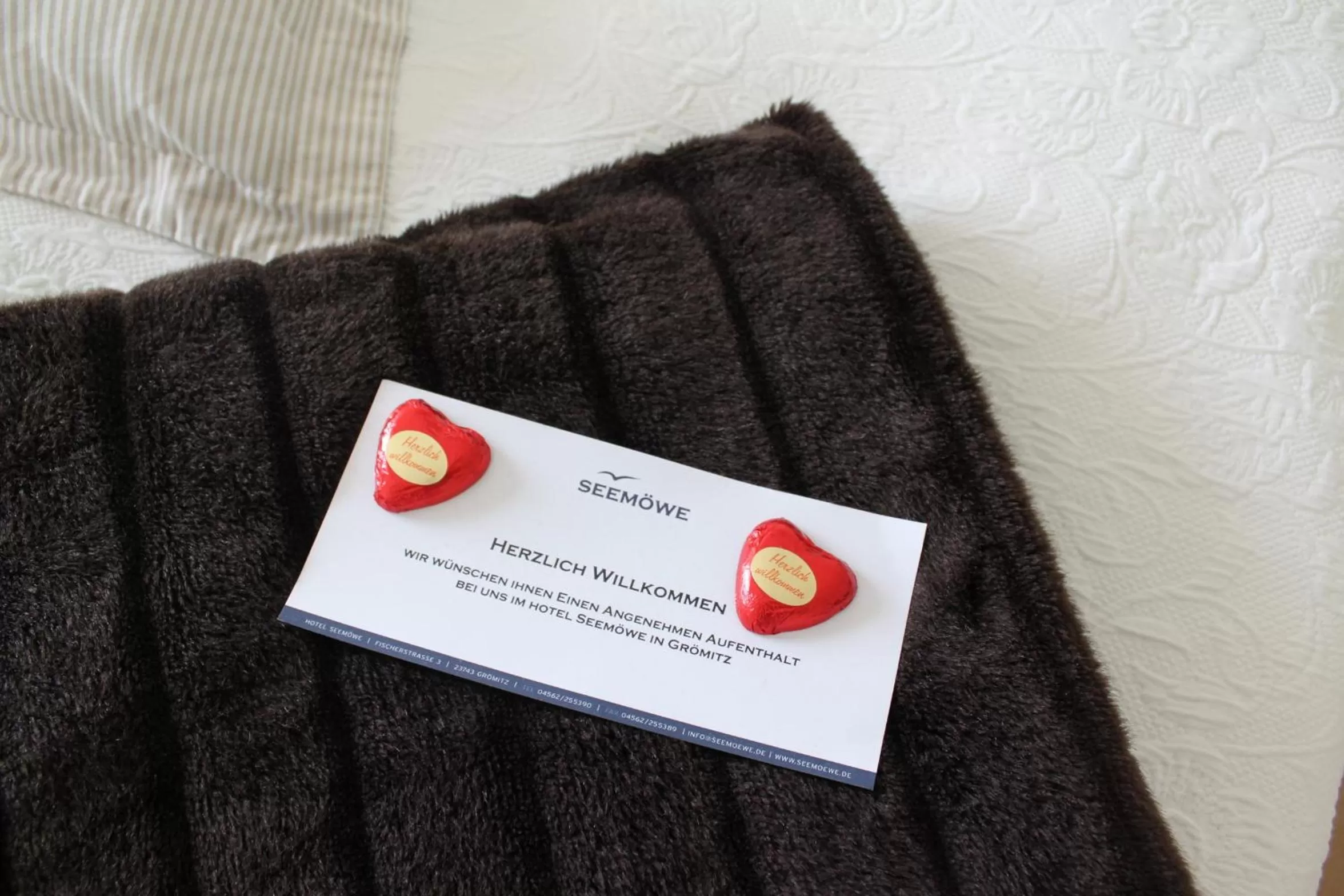 Decorative detail, Property Logo/Sign in Hotel Seemöwe