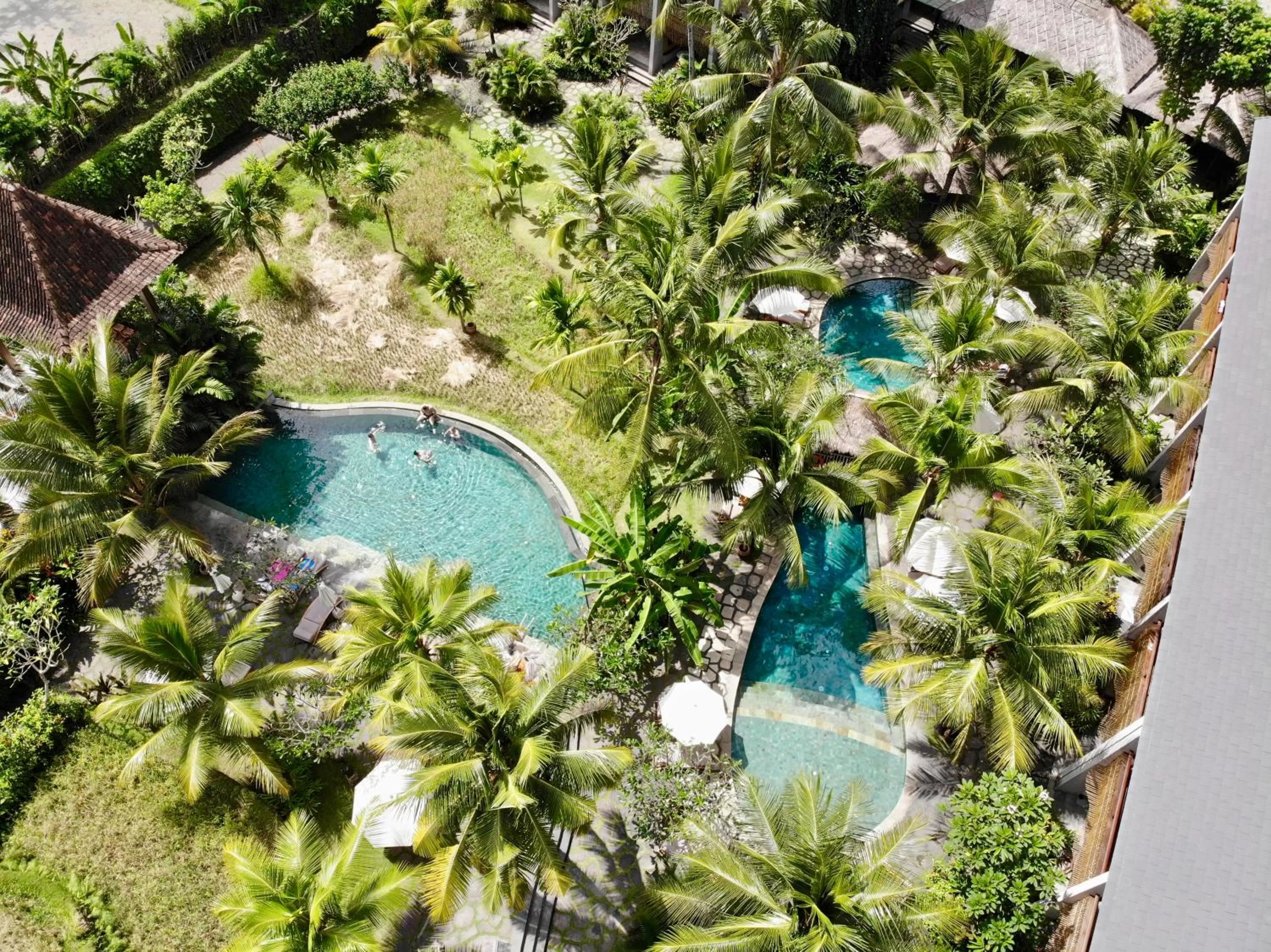 Bird's eye view in Alaya Resort Ubud