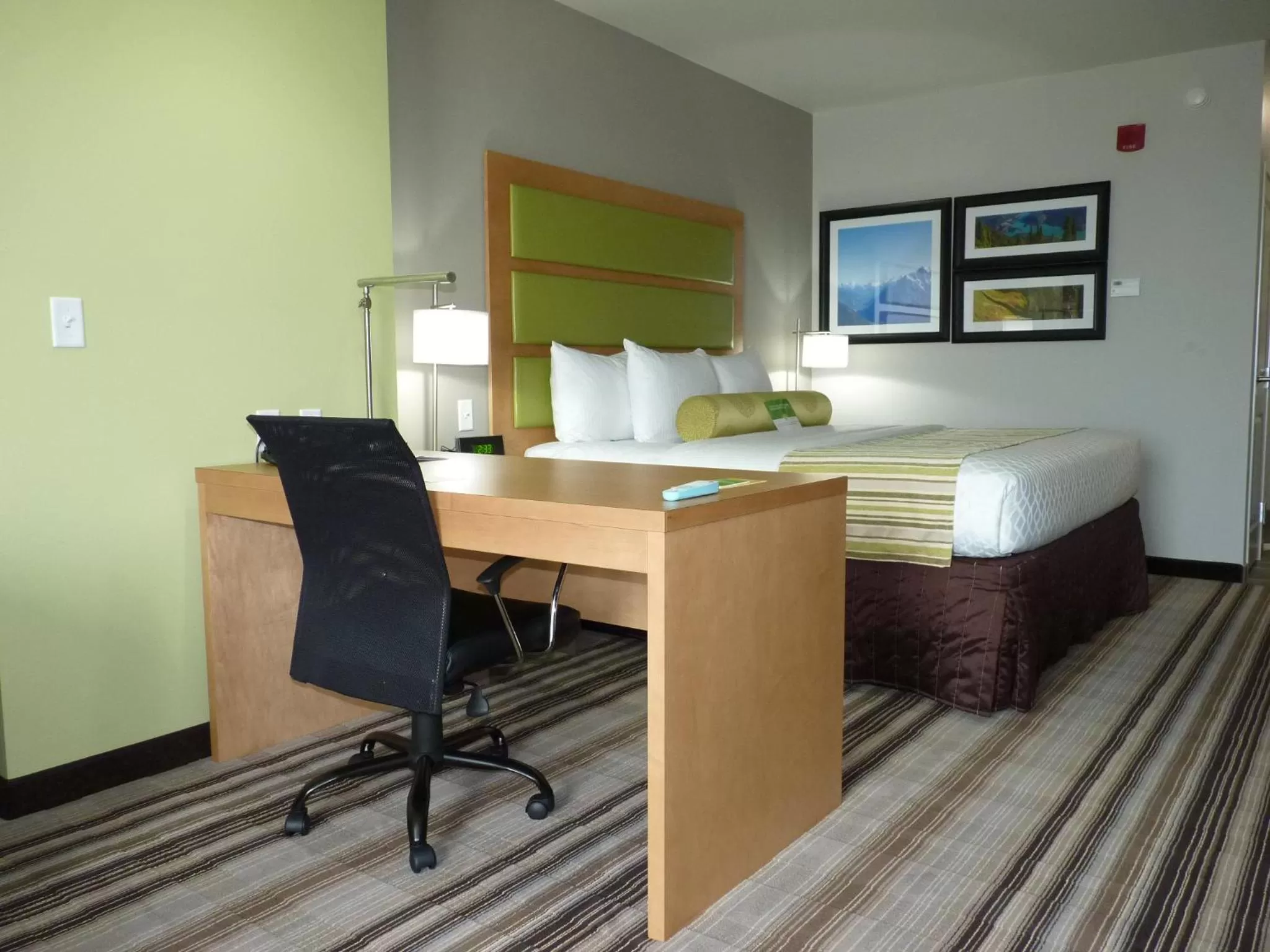 Photo of the whole room, Bed in La Quinta by Wyndham Paducah