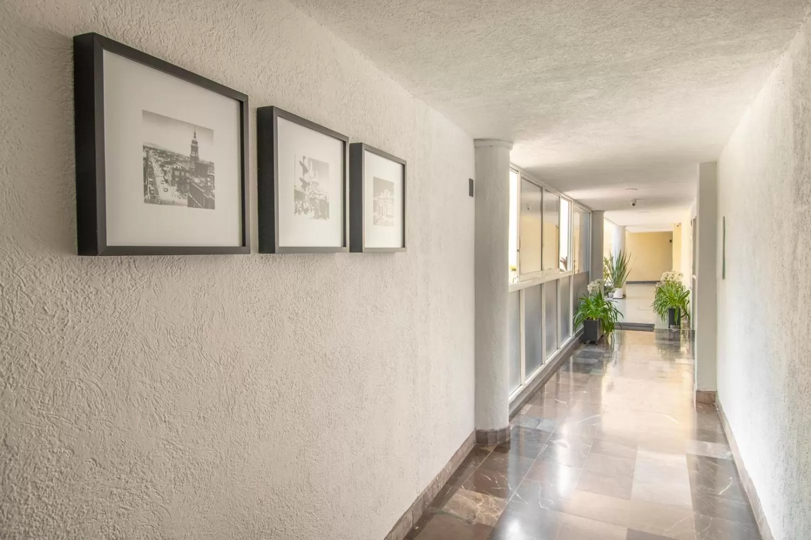 Patio in Hotel Emperador centro Guadalajara y Remodelado