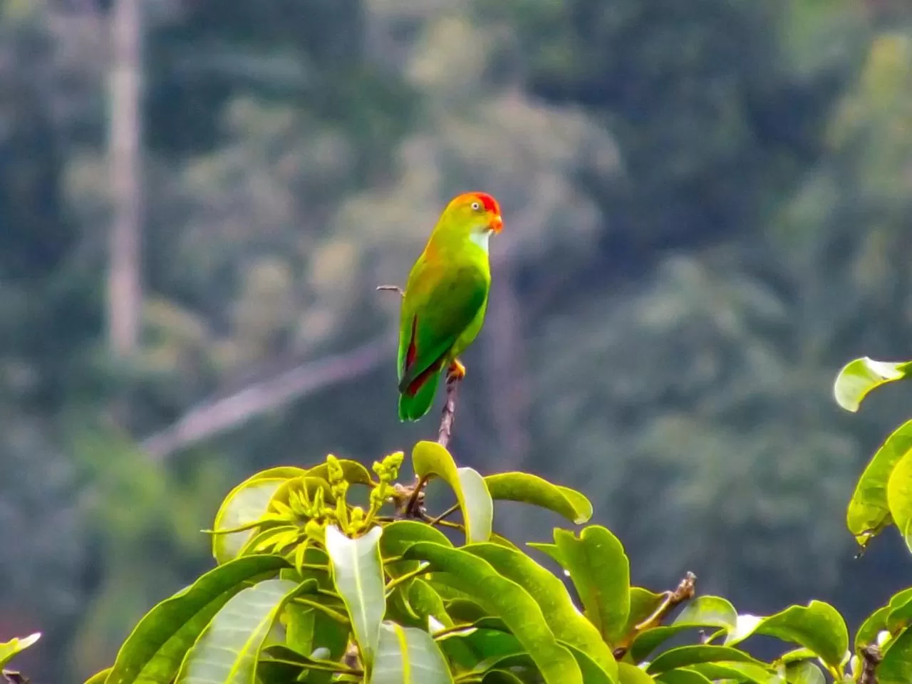 Natural landscape, Other Animals in Blue Ribbon Homestay