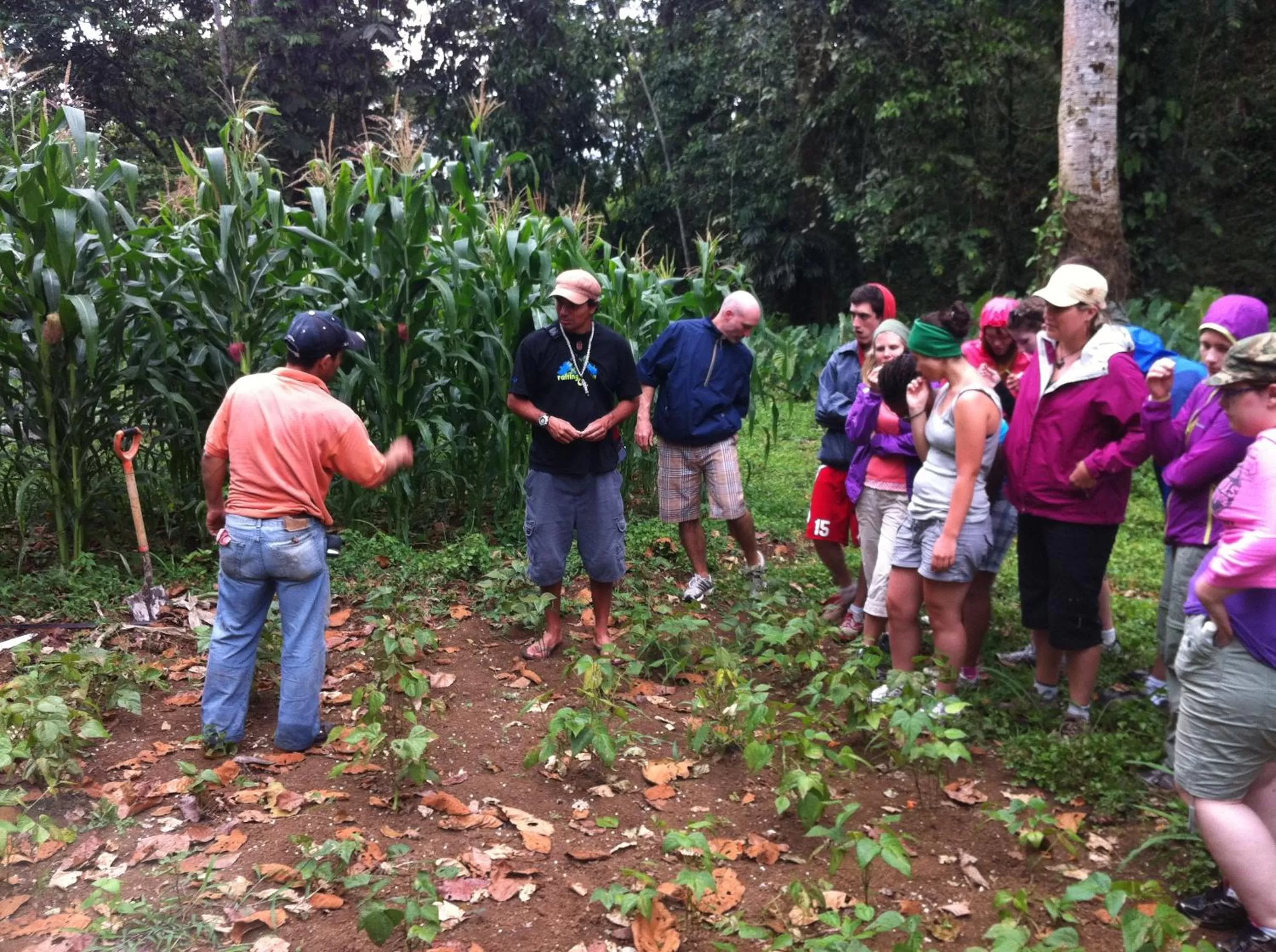 Activities in Hotel Villa Florencia