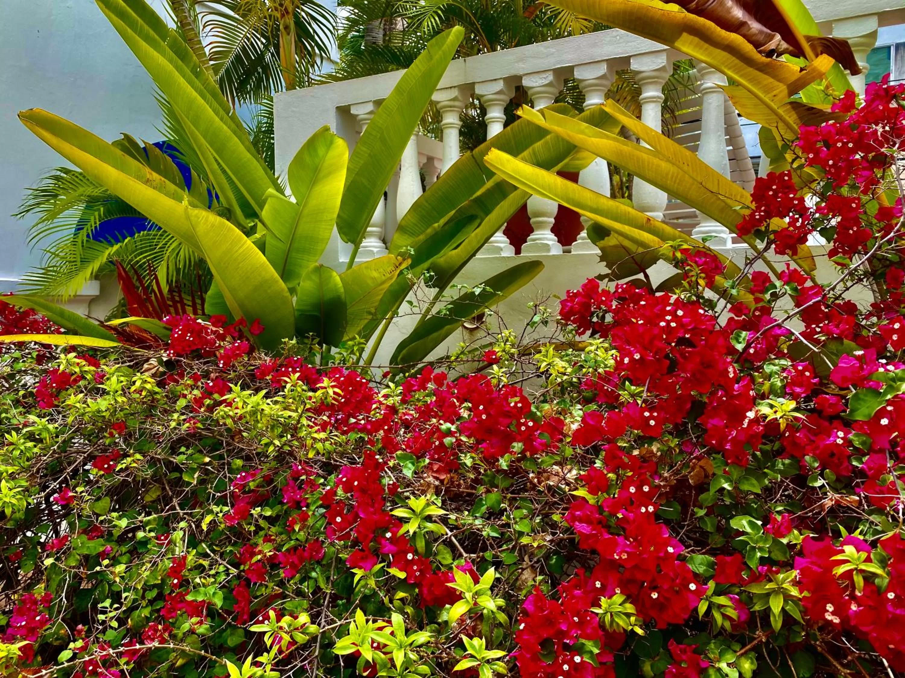 At Wind Chimes Boutique Hotel