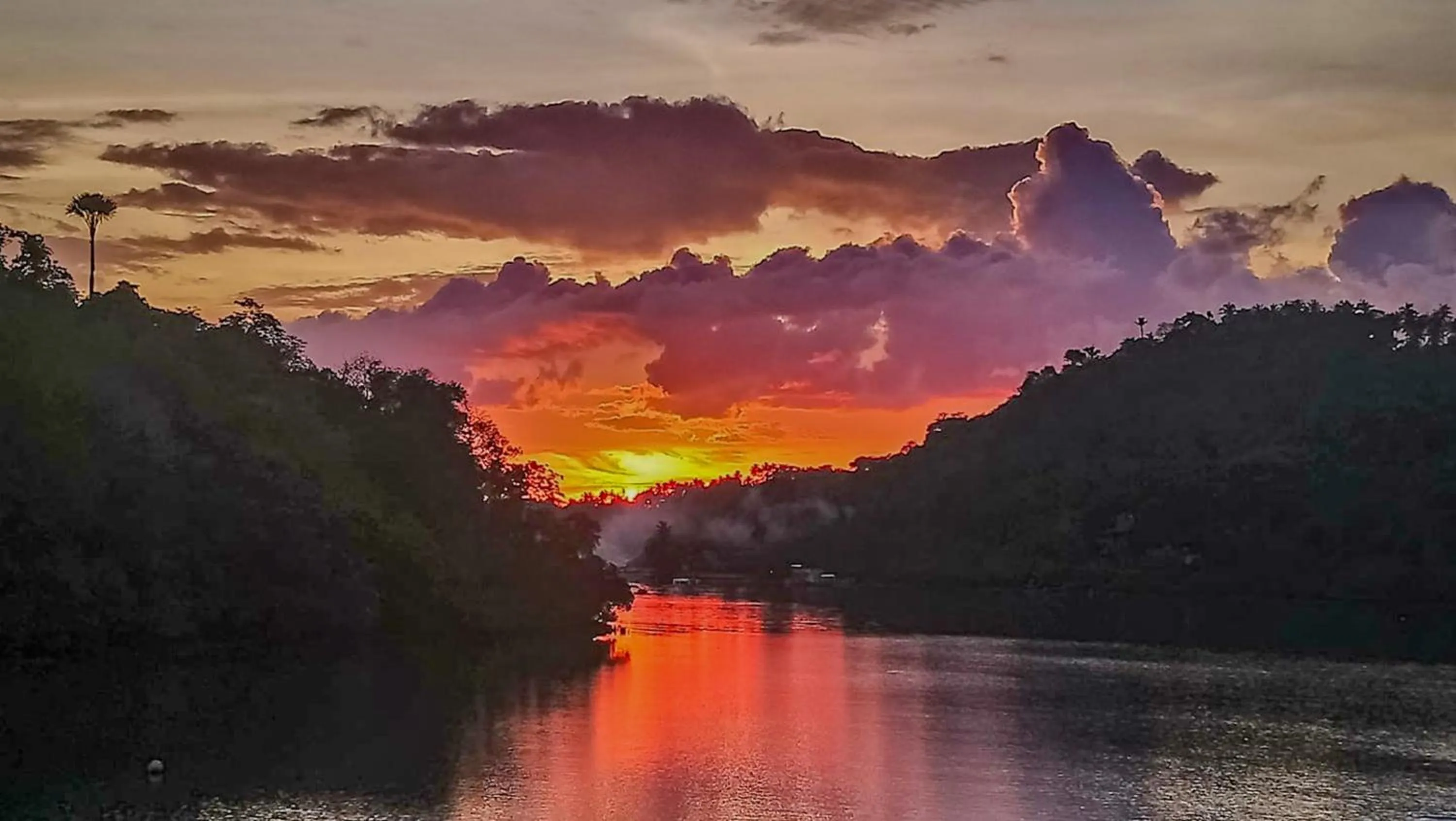 Natural landscape in Edgewater Dive & Spa Resort