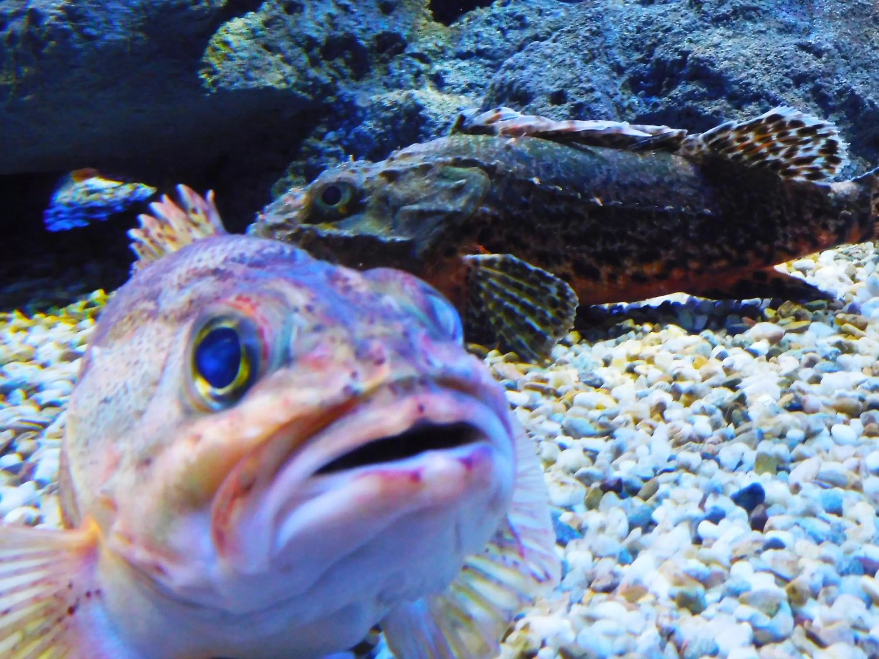 Nearby landmark in Hotel Wing International Select Osaka Umeda