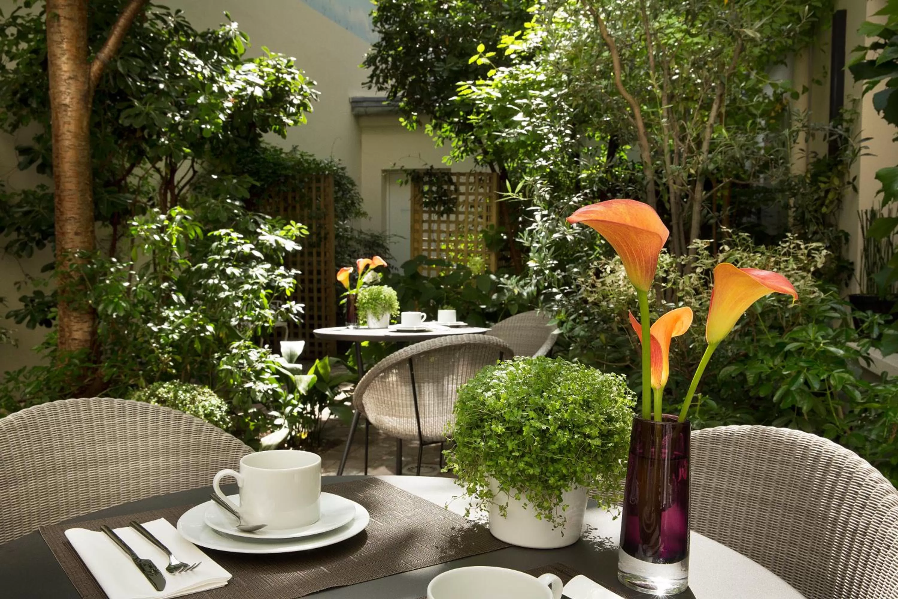 Garden in Hôtel A La Villa des Artistes