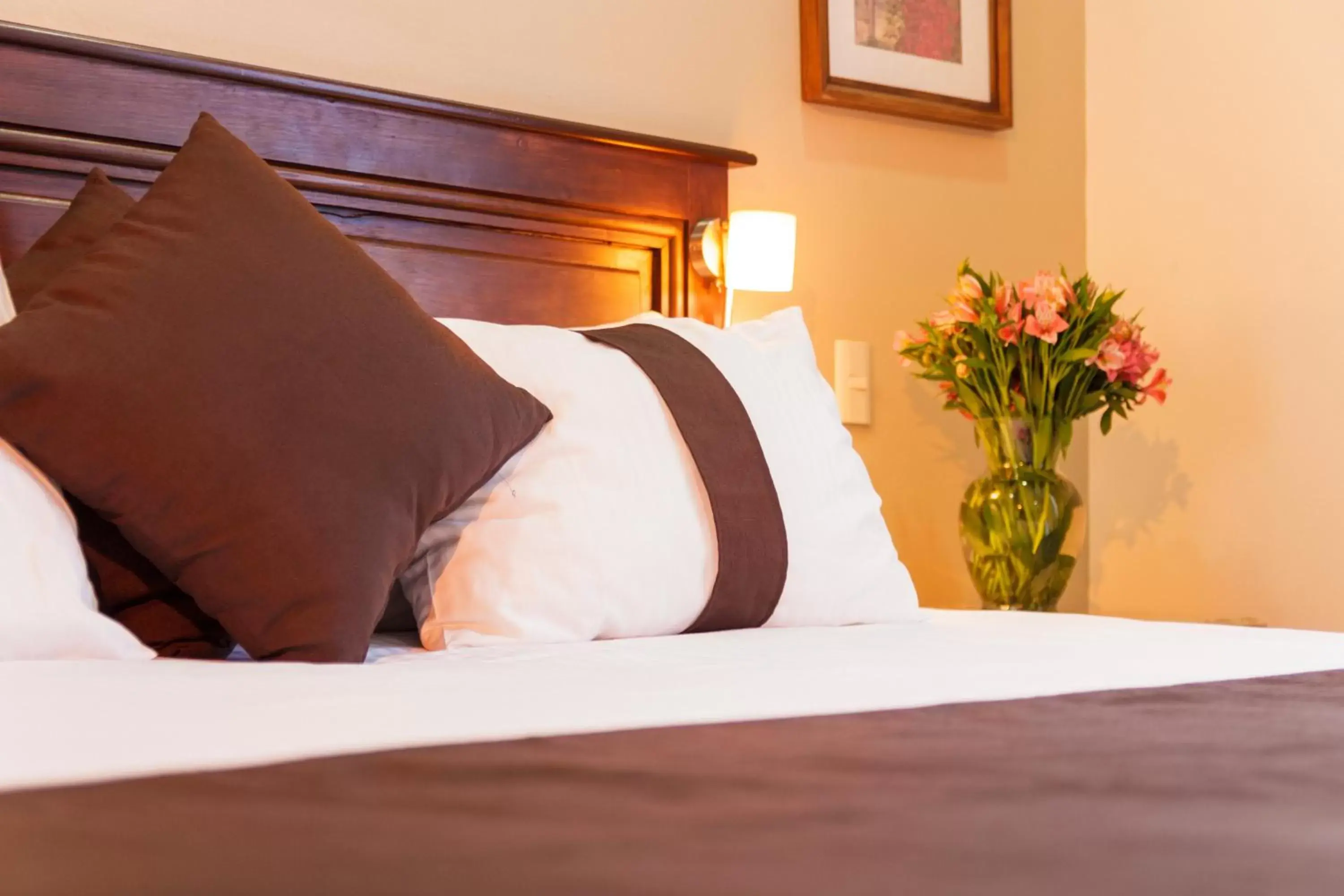 Mision Catedral Morelia Mision Catedral Morelia