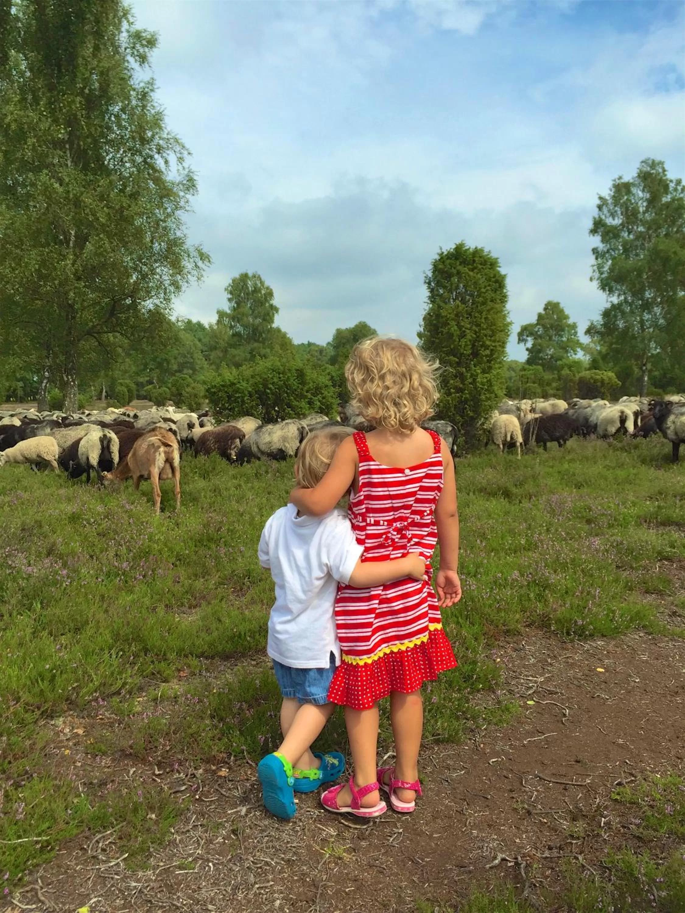 Hiking in Akzent Hotel Berlin