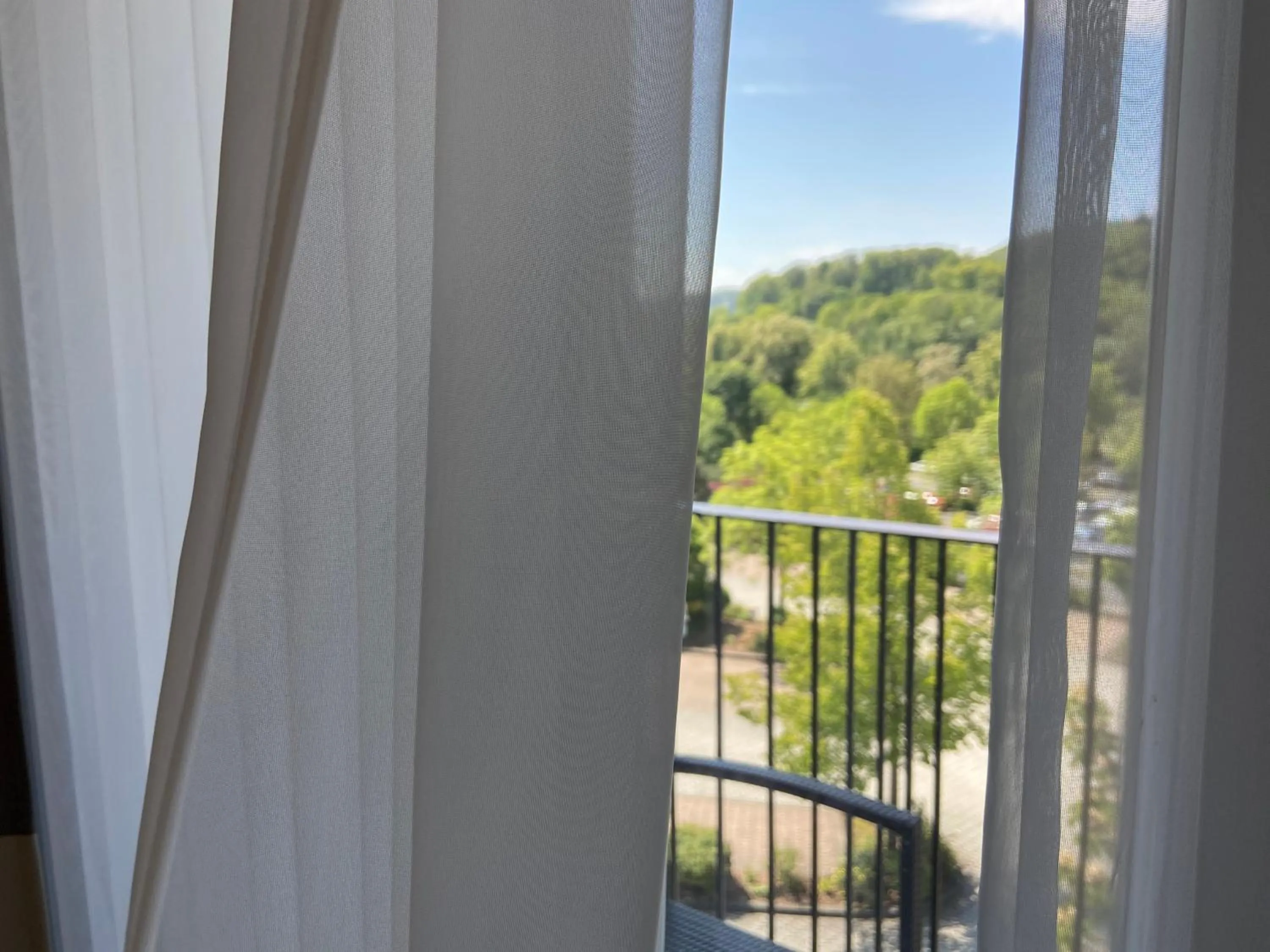 Balcony/Terrace in Hotel Zur Schönen Aussicht