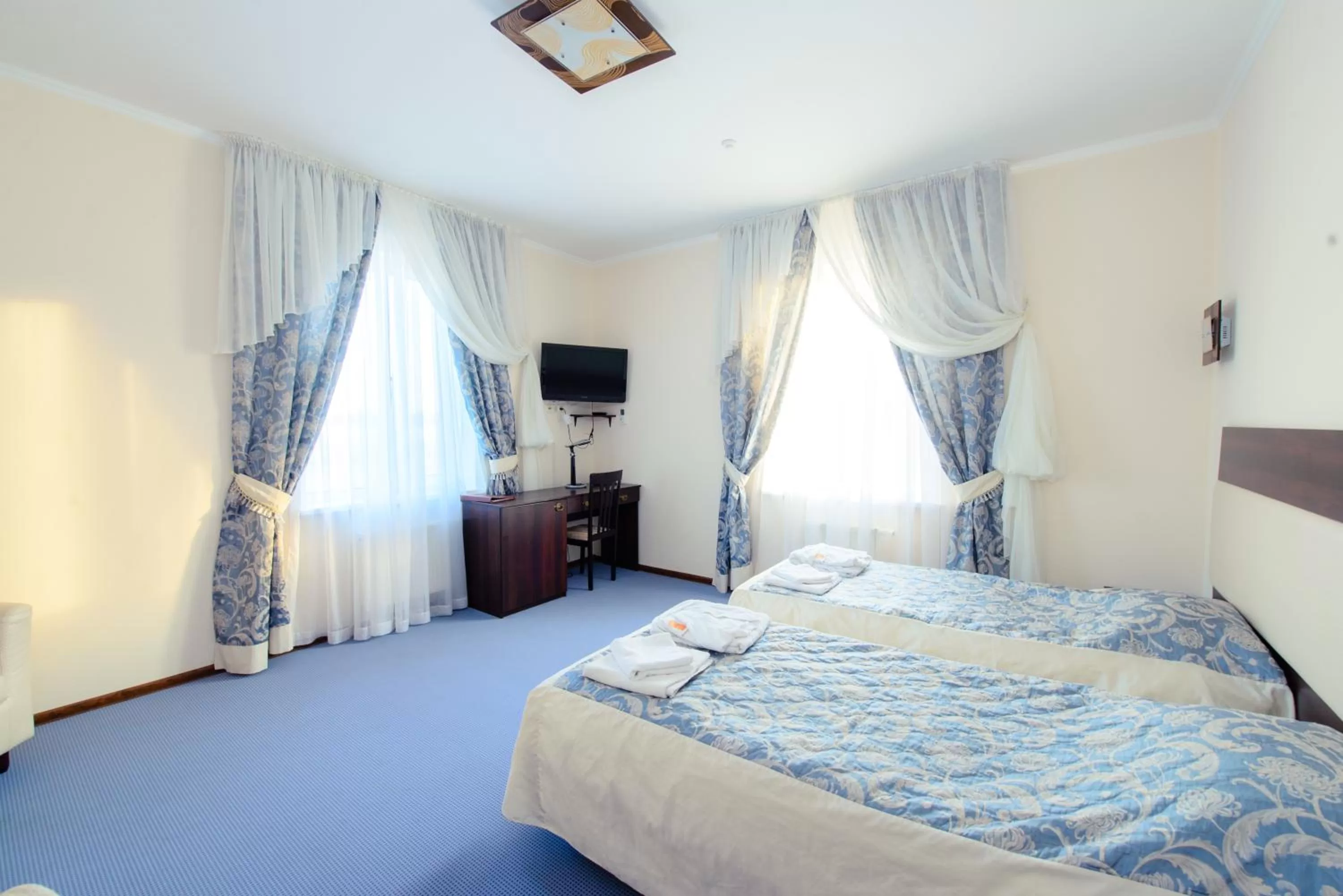  Twin Room in Petrovskyi Brovar