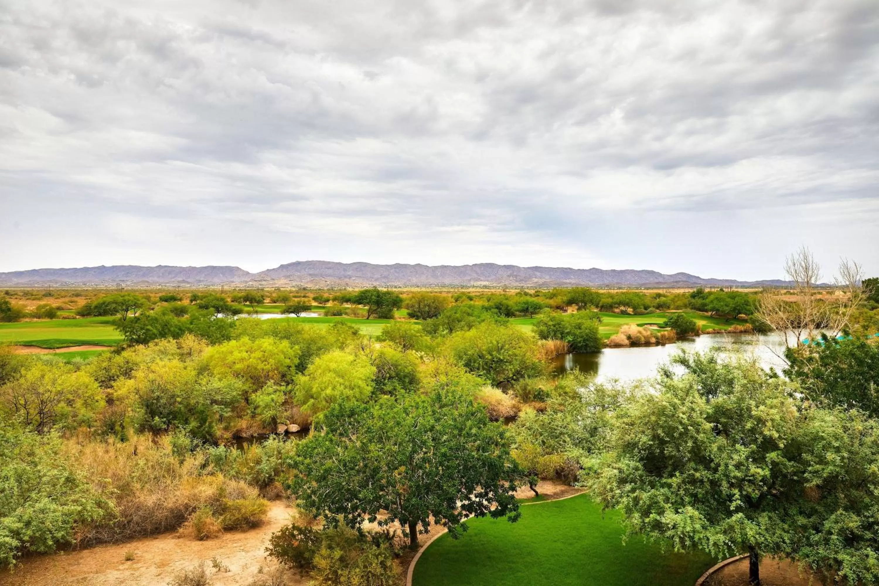 Photo of the whole room in Sheraton Grand at Wild Horse Pass